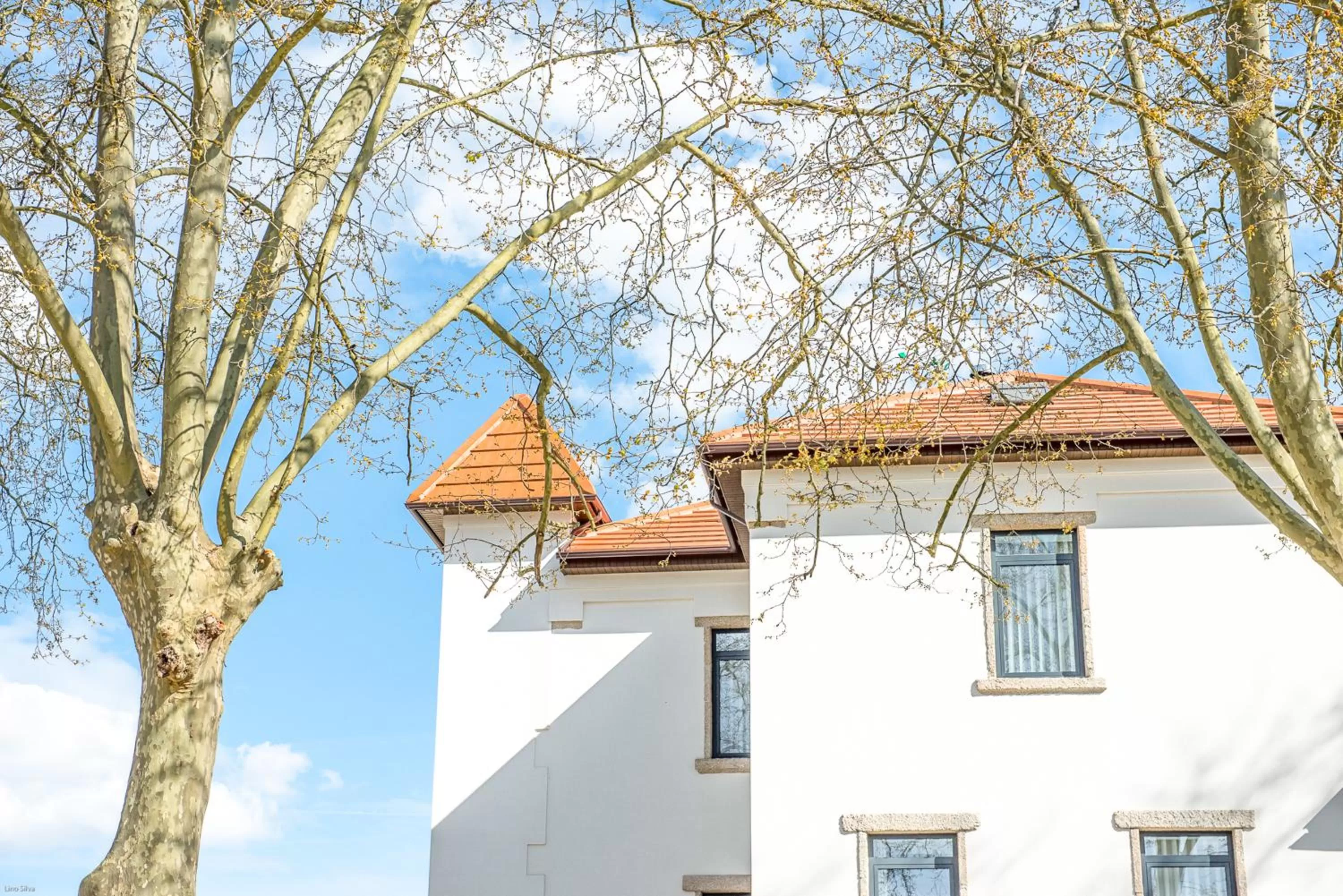 Borralha Hotel, Restaurante & Spa