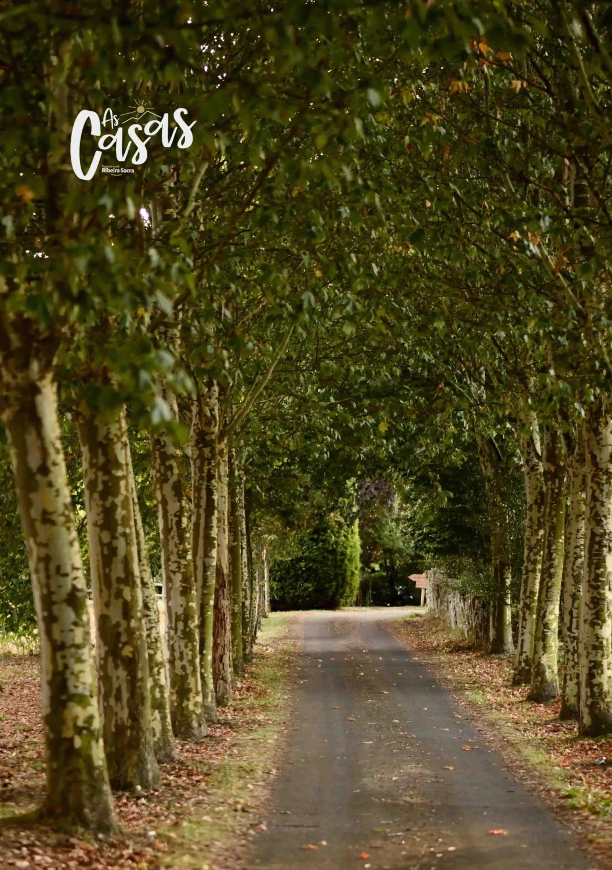 Lobby or reception in As Casas Ribeira Sacra