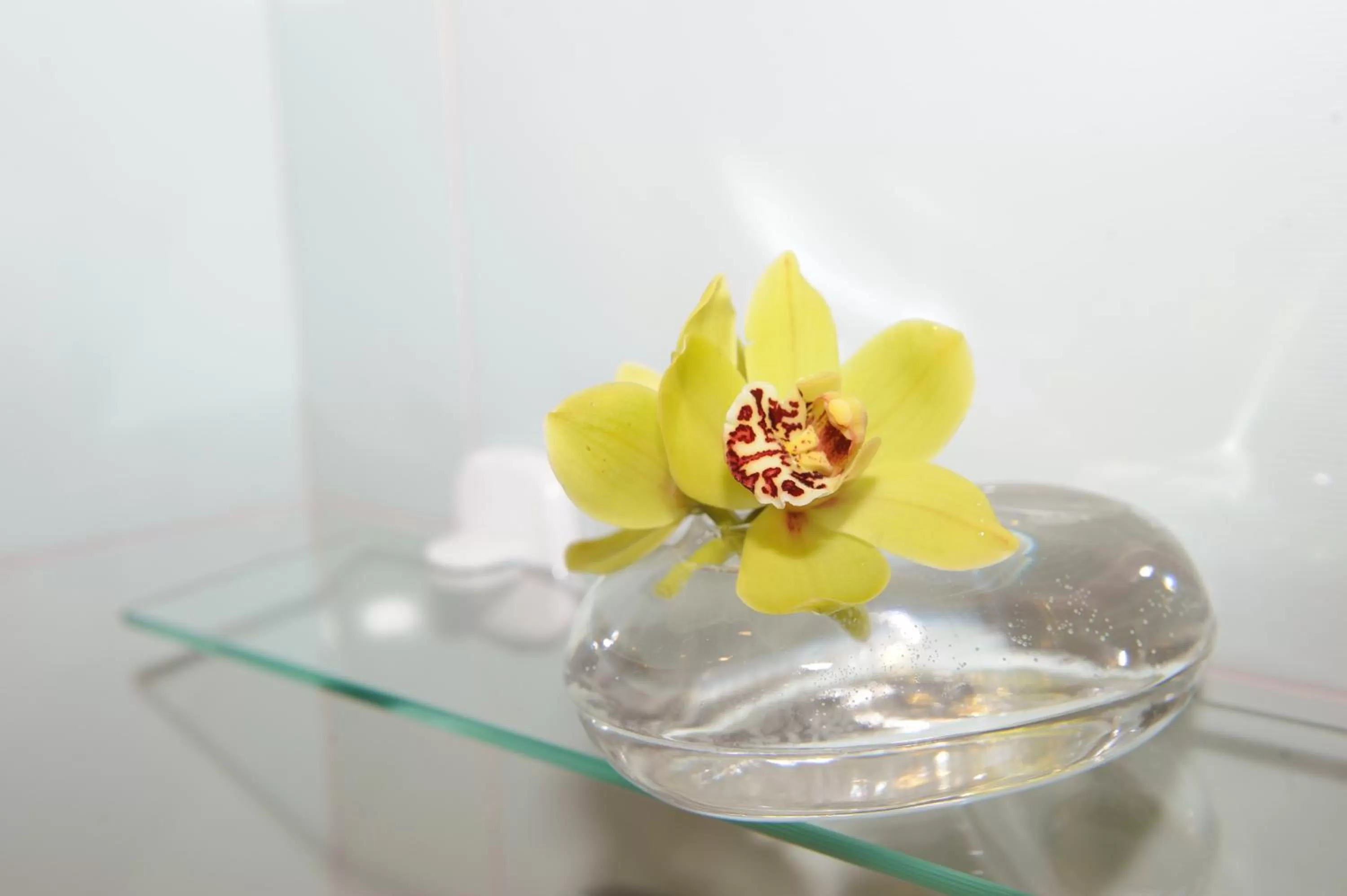 Bathroom in Best Western Plus Hôtel Colbert