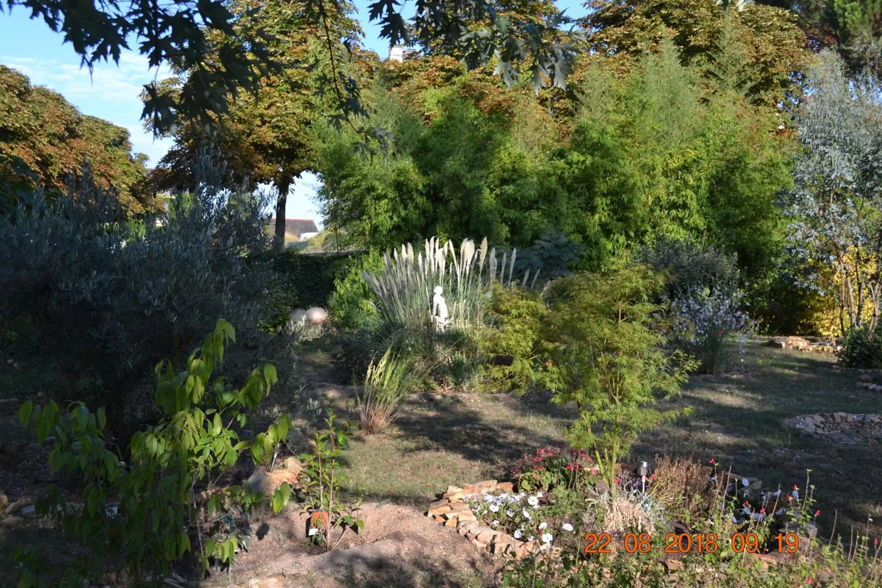 Garden in Hôtel Le Castel