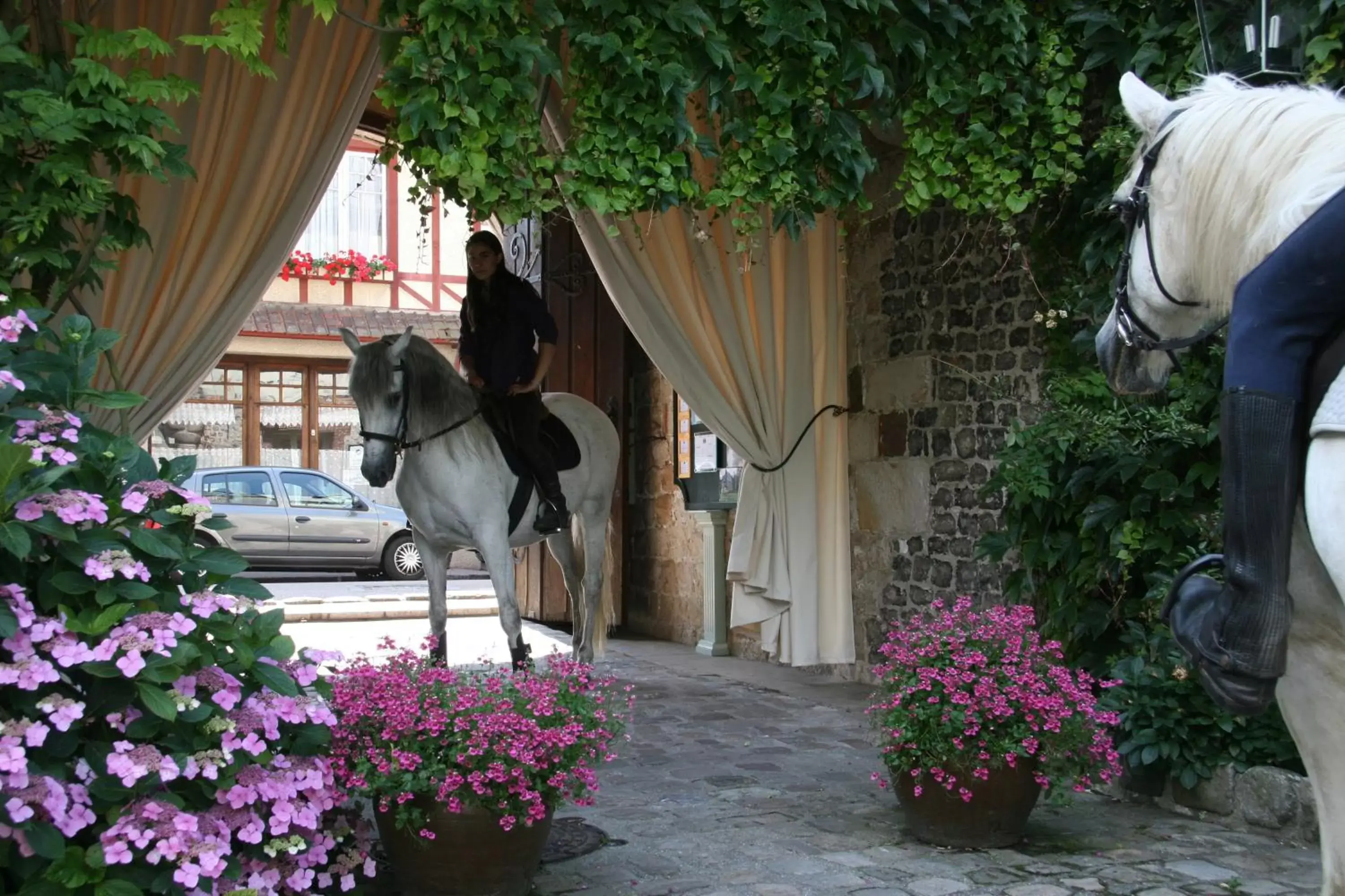 Balcony/Terrace in Relais Hôtelier Douce France