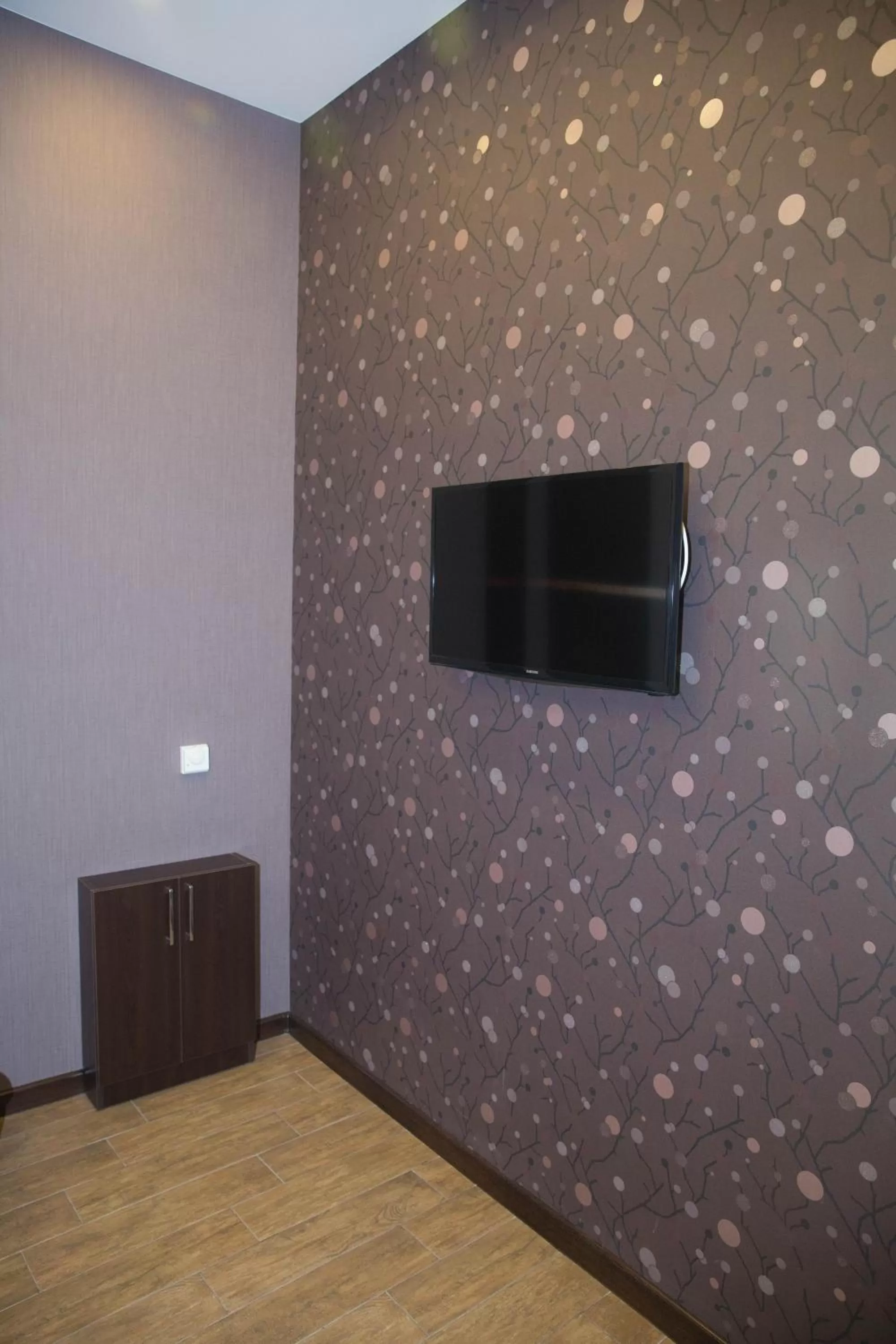 Decorative detail, TV/Entertainment Center in Eridana Hotel