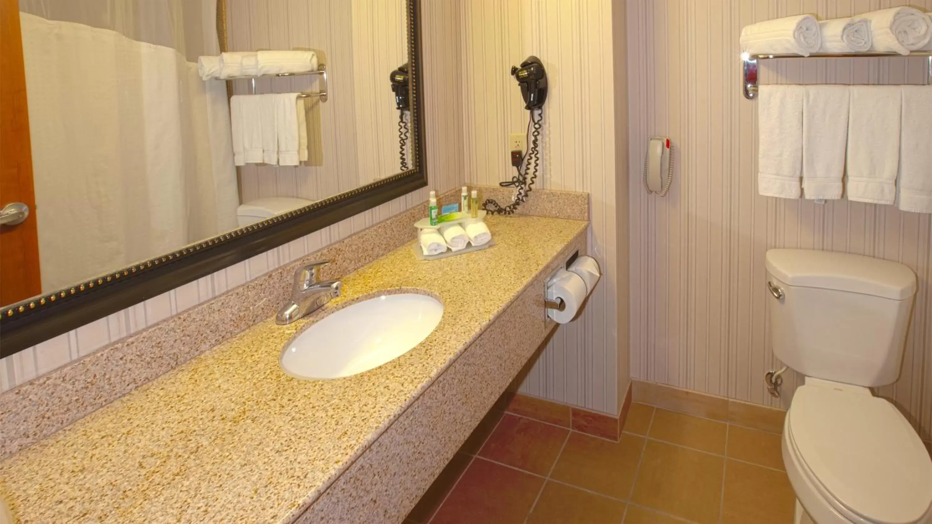 Bathroom in Holiday Inn Express & Suites Nampa - Idaho Center, an IHG Hotel