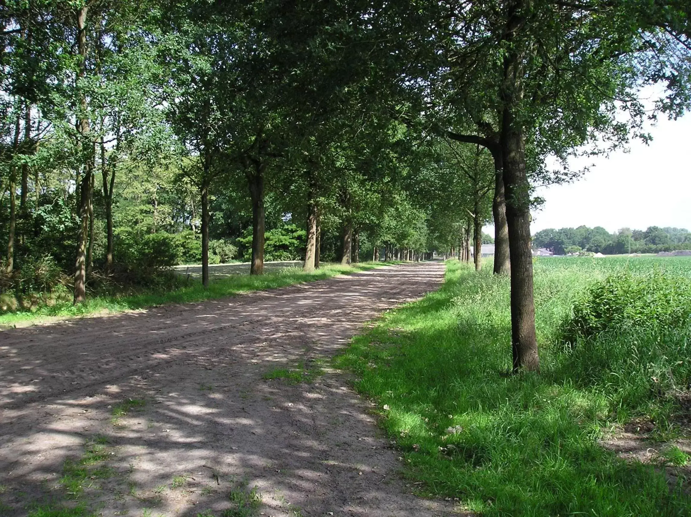 Garden in 't Rond Bargie