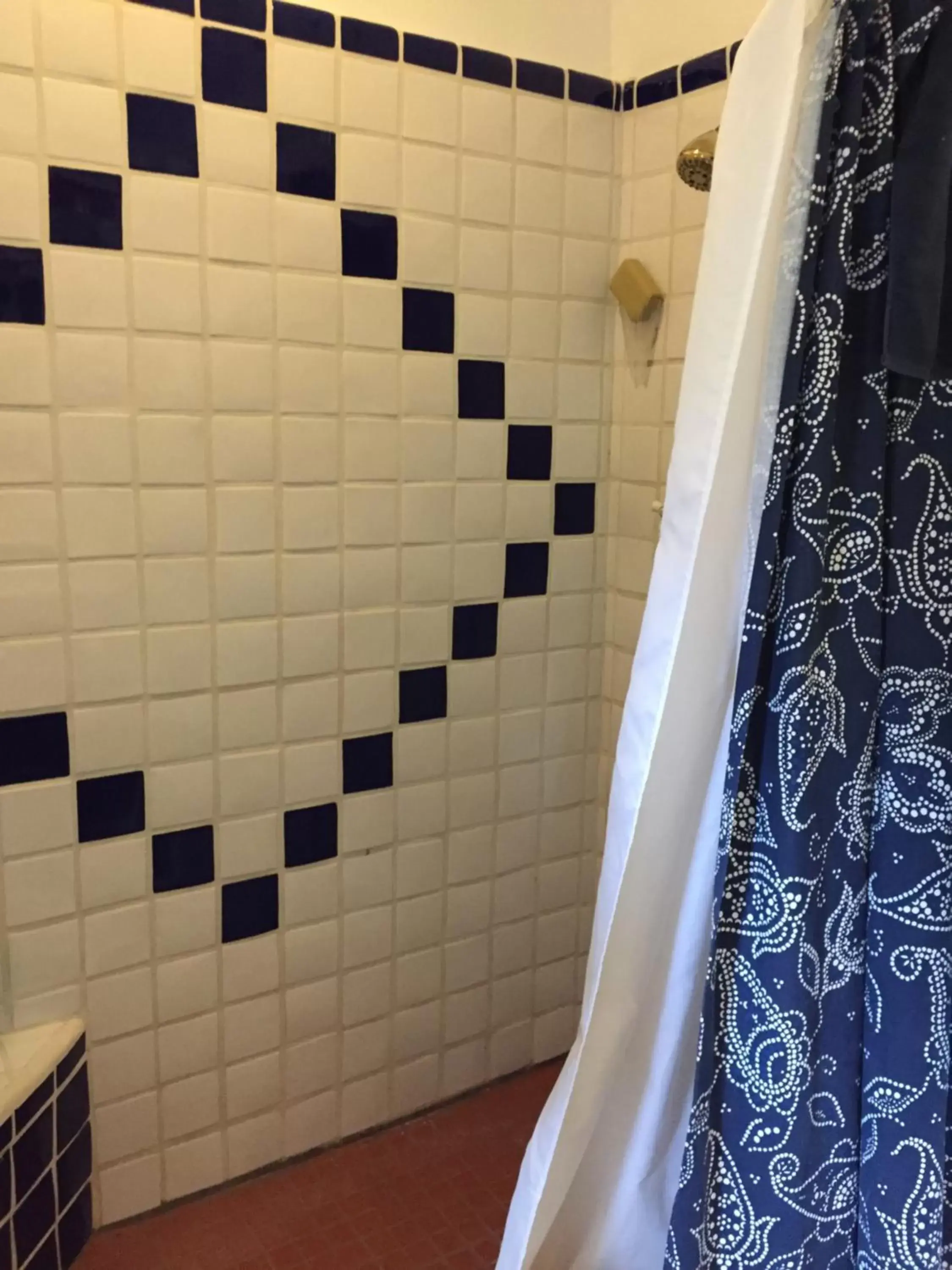 Shower, Bathroom in Casa Paloma B&B