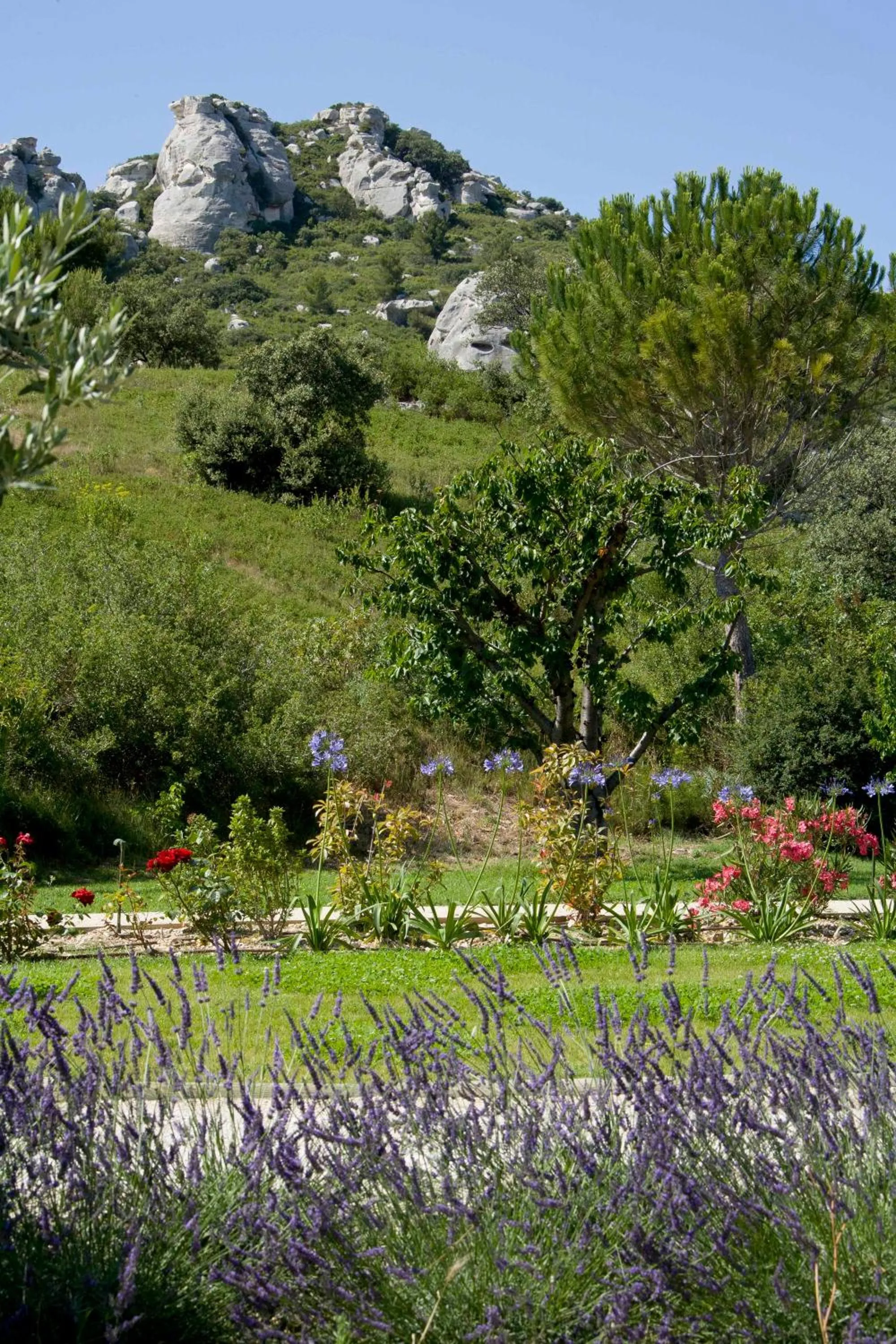 Garden in Benvengudo