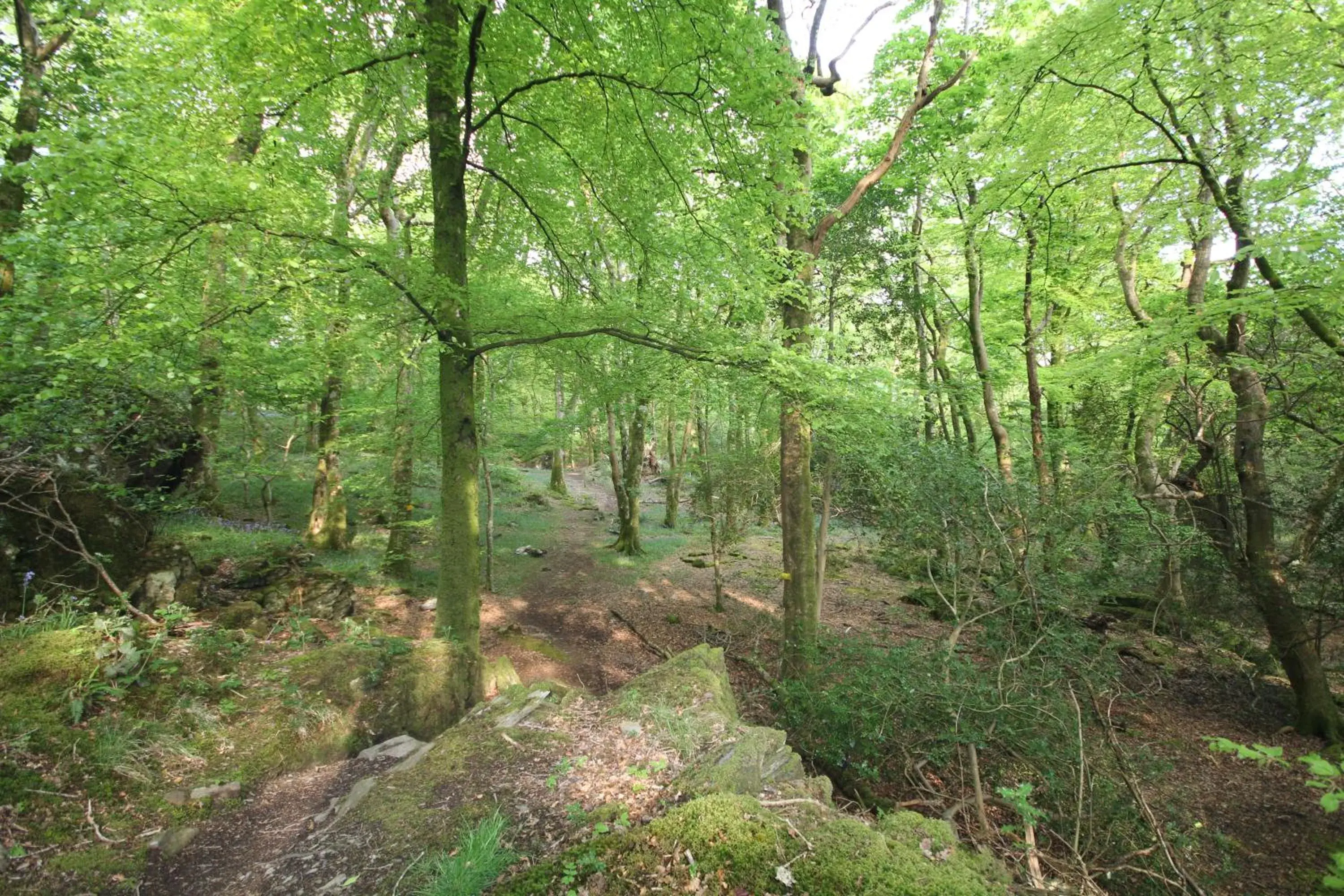 Natural landscape in Aberdunant Hall Country Hotel