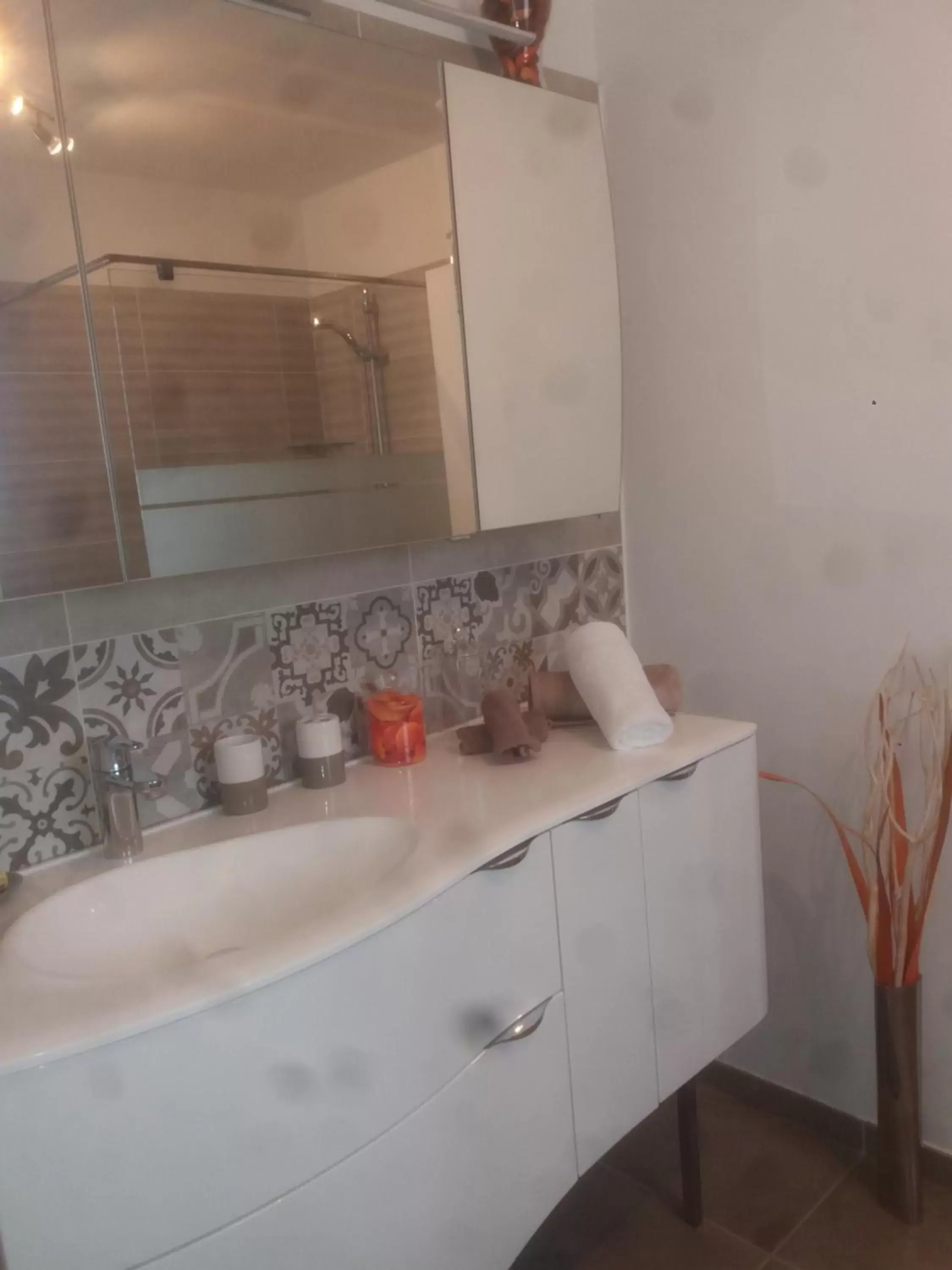 Bathroom, Kitchen/Kitchenette in Chambre d'hôtes dans Villa Diane
