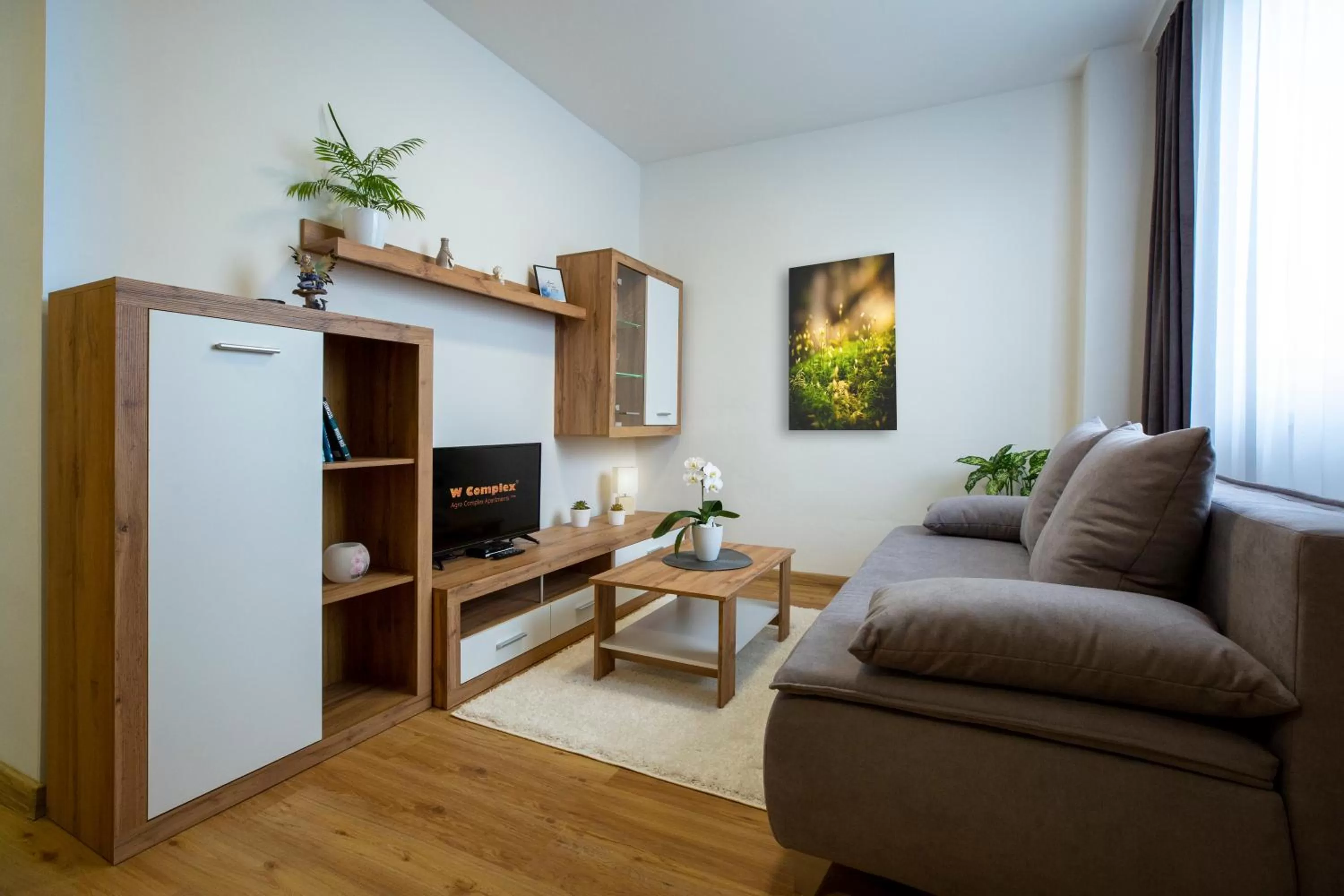 Living room in Agro Complex Apartments