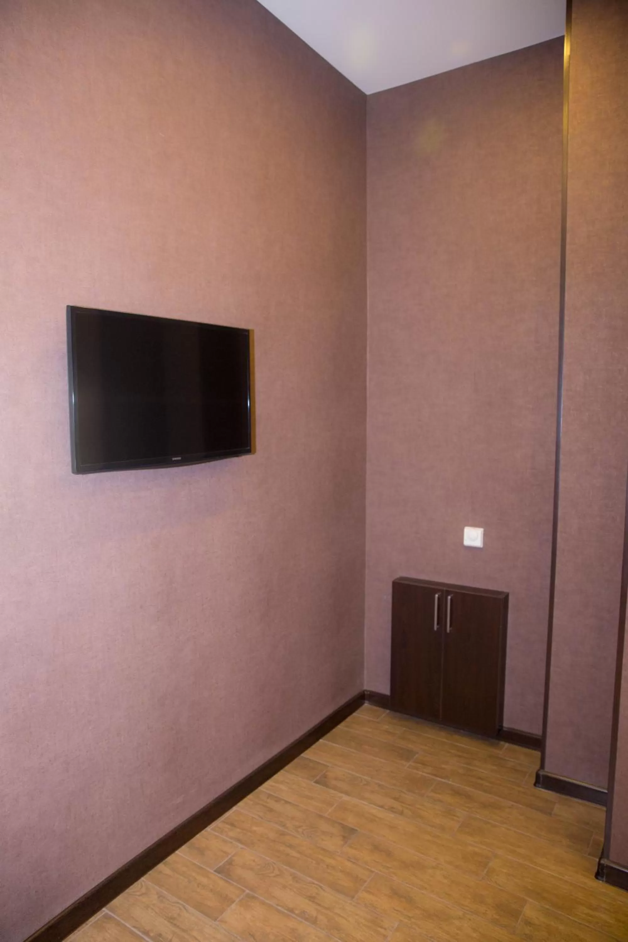 Decorative detail, TV/Entertainment Center in Eridana Hotel