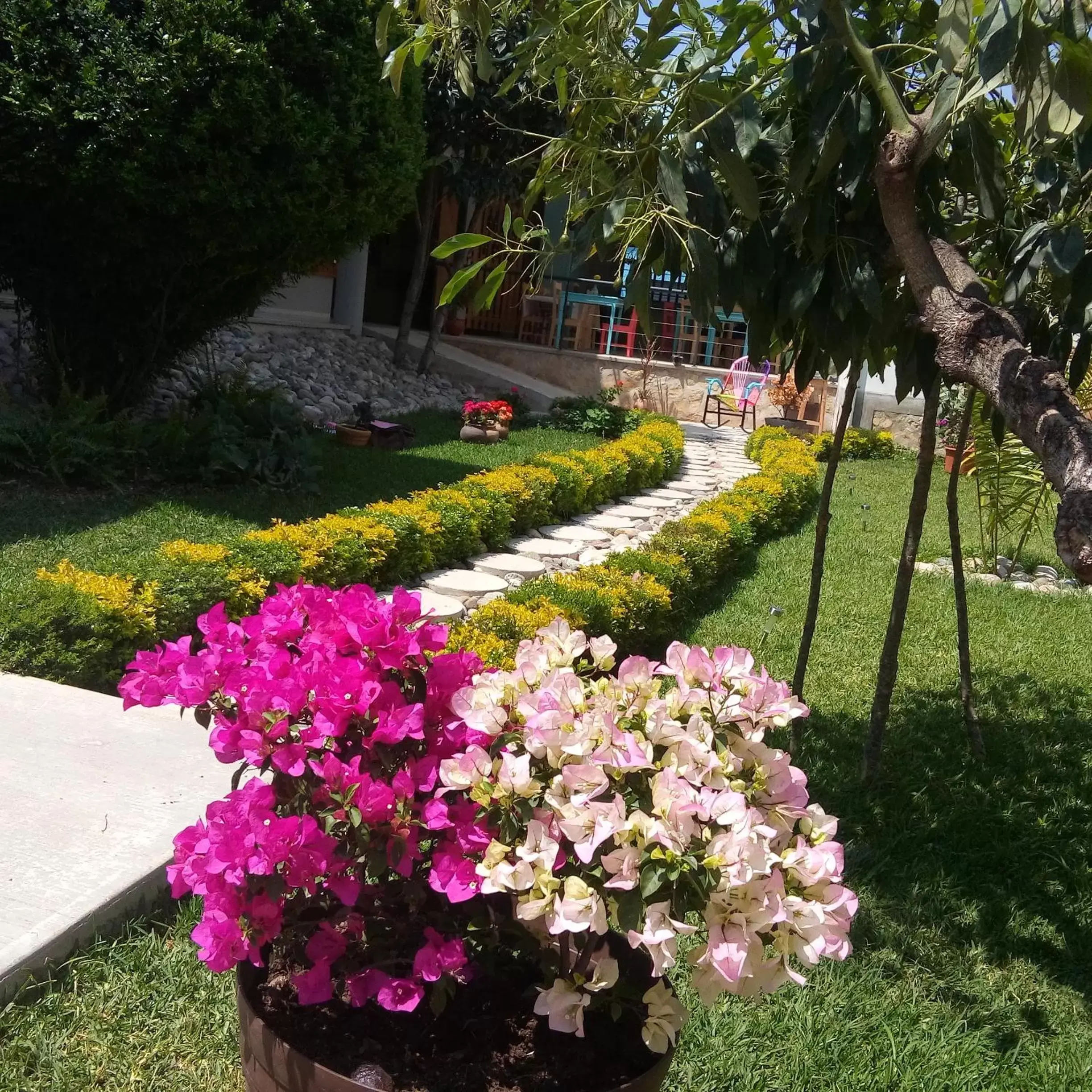 Spring, Garden in Hotel Casa Caelum