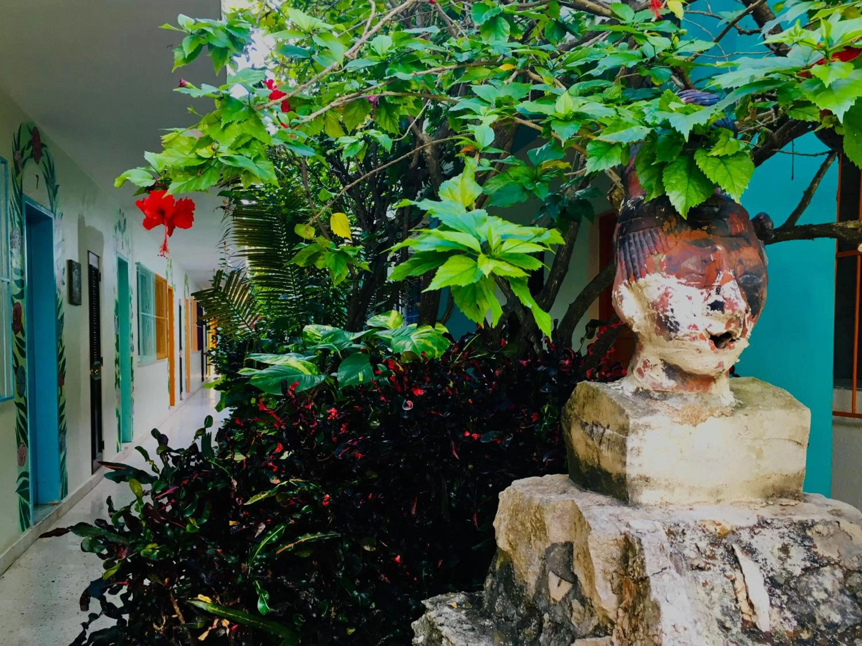 Garden in Hotel Posada Edem