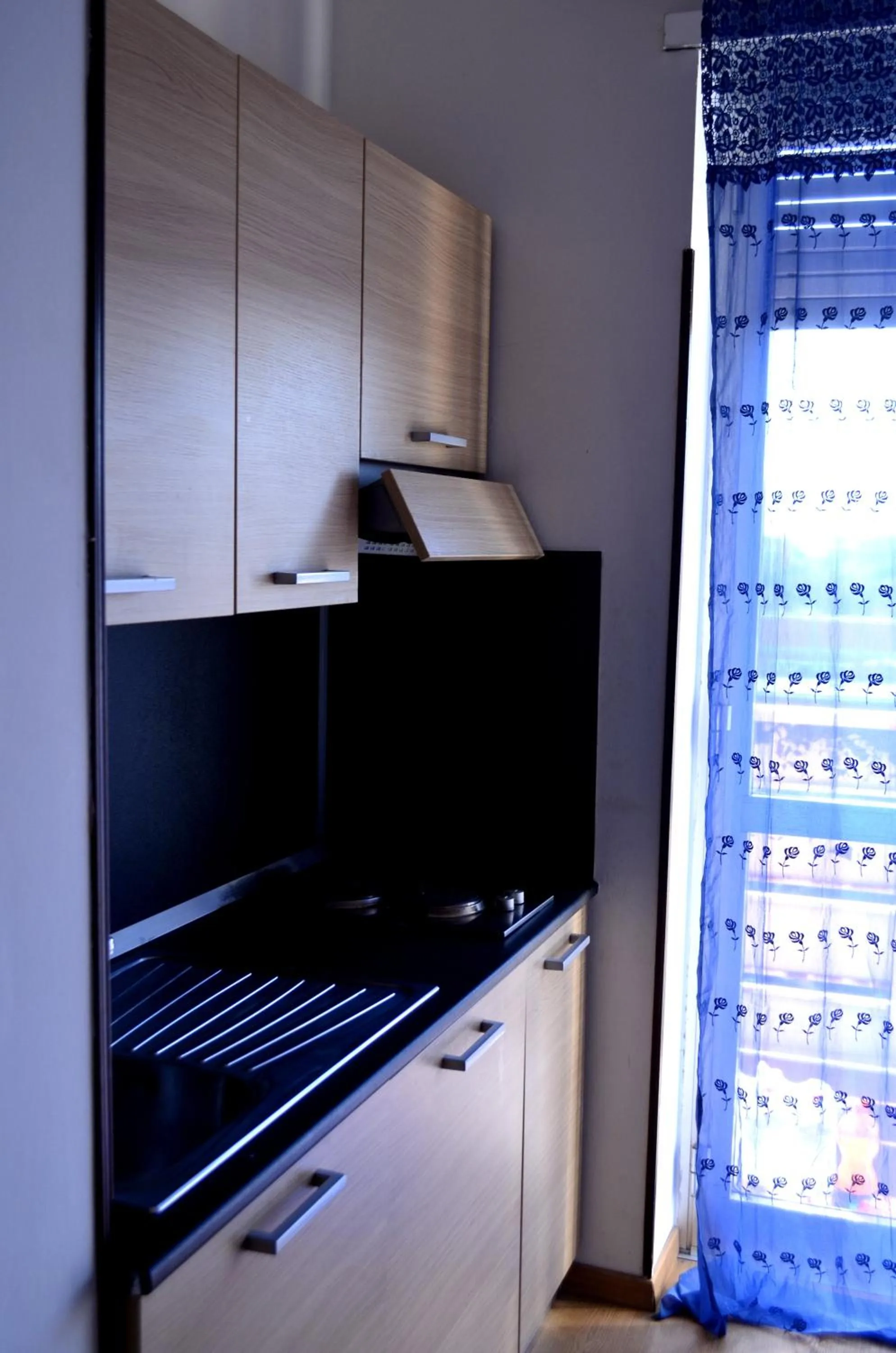 Kitchen or kitchenette in Albergo Guido Reni