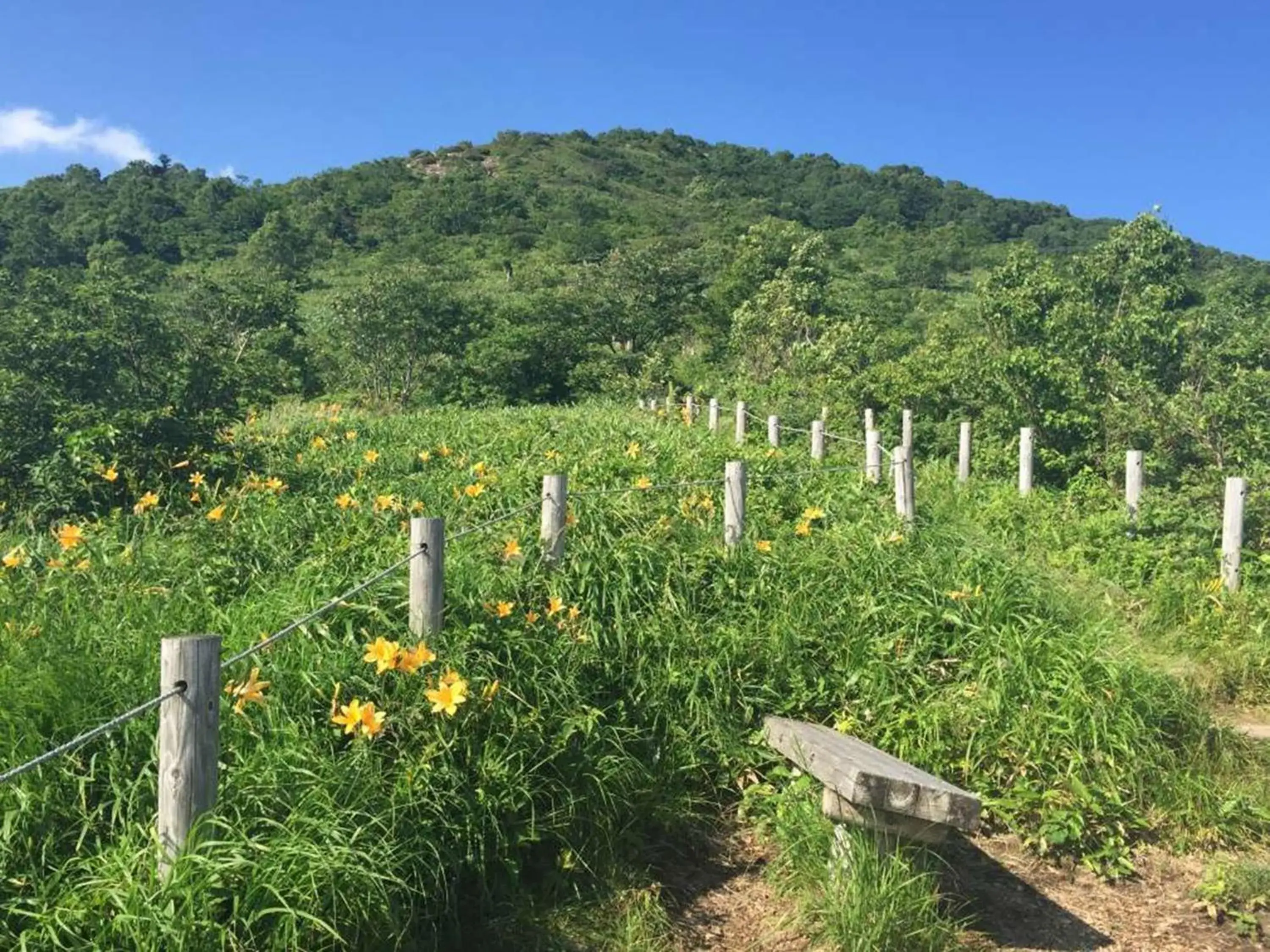 Natural landscape in Naeba Prince Hotel