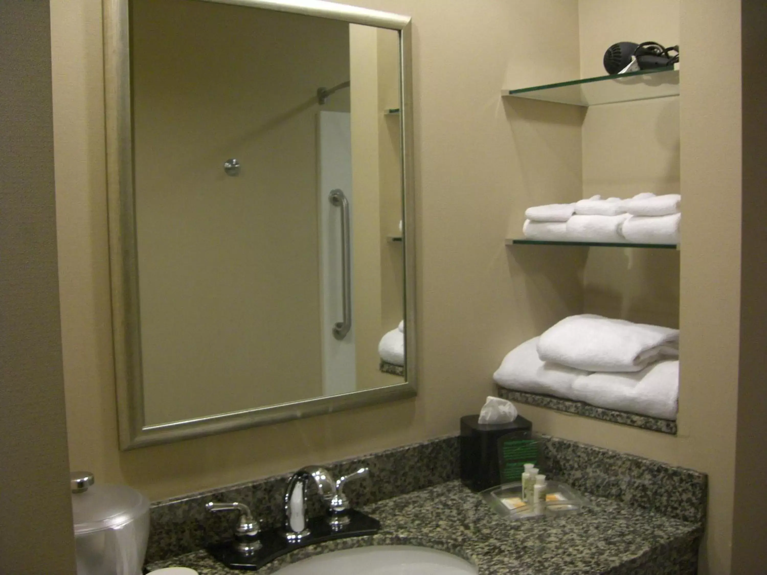 Bathroom in Holiday Inn St. Paul Northeast - Lake Elmo, an IHG Hotel