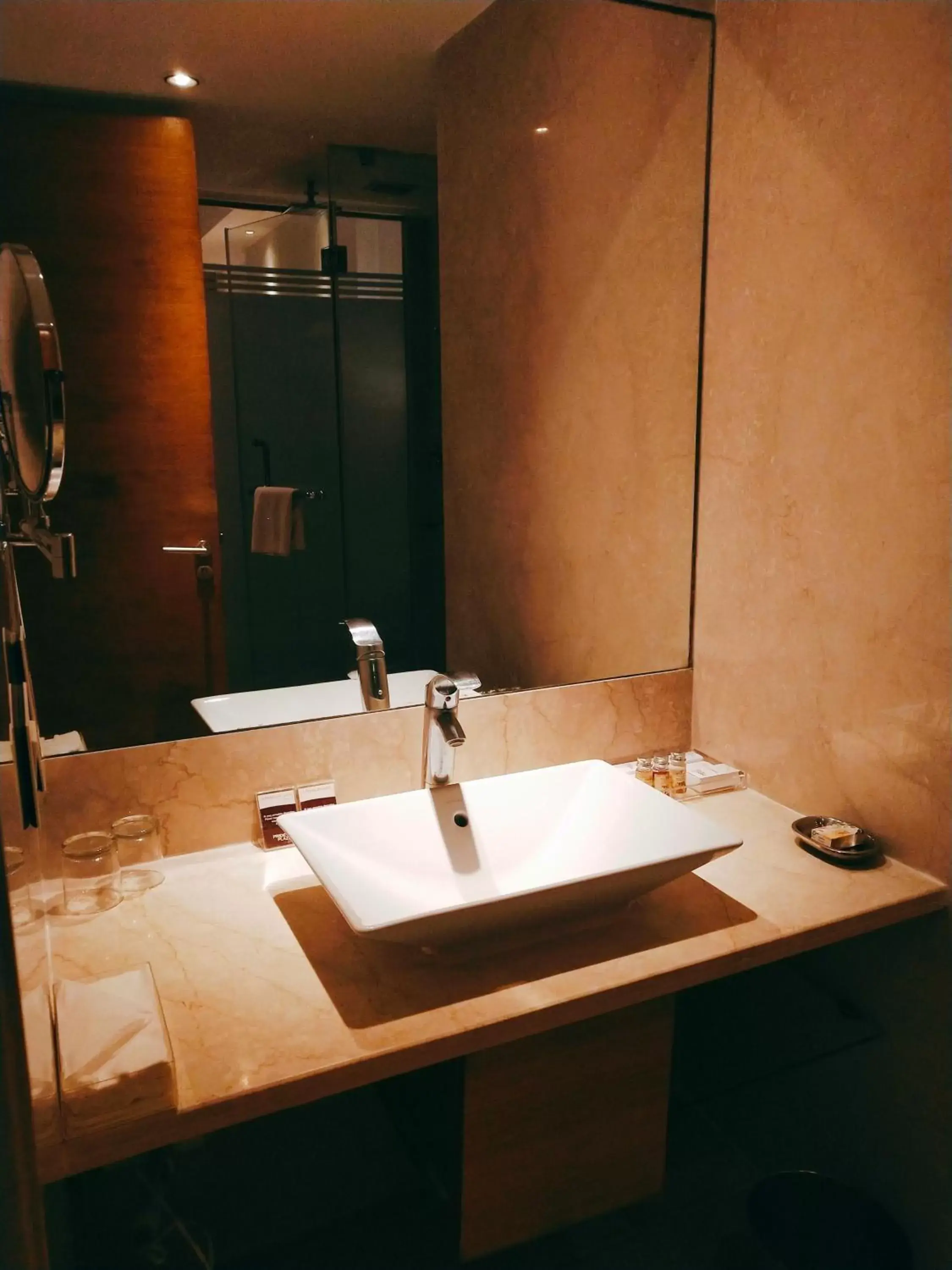 Bathroom in Pride Plaza Hotel, Kolkata