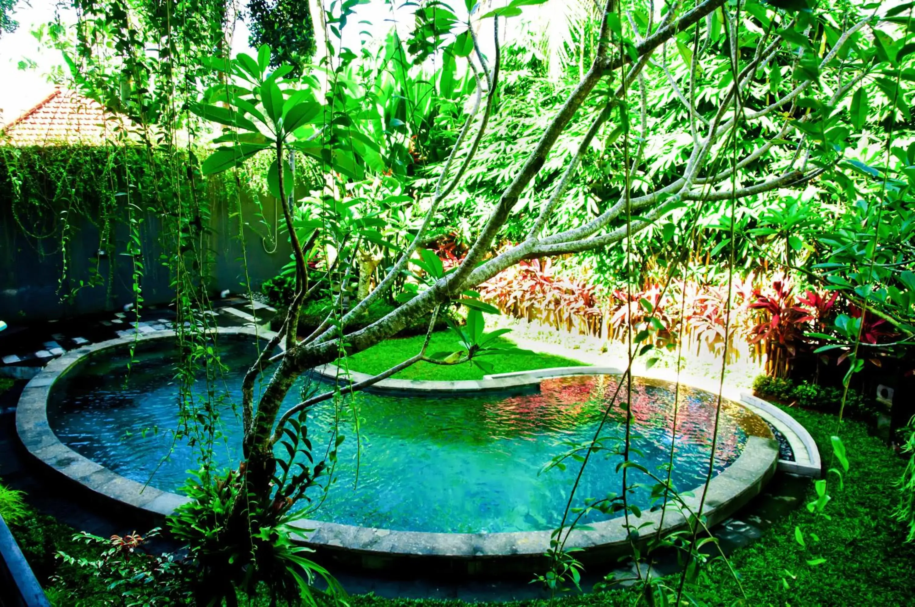 Neighbourhood, Swimming Pool in Puri Kobot