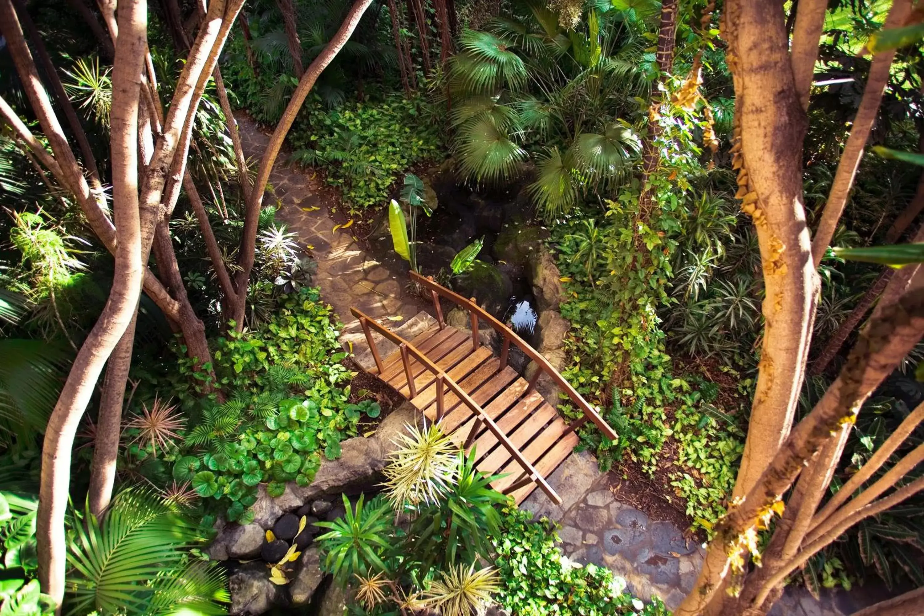 Garden in Hotel Botanico y Oriental Spa Garden