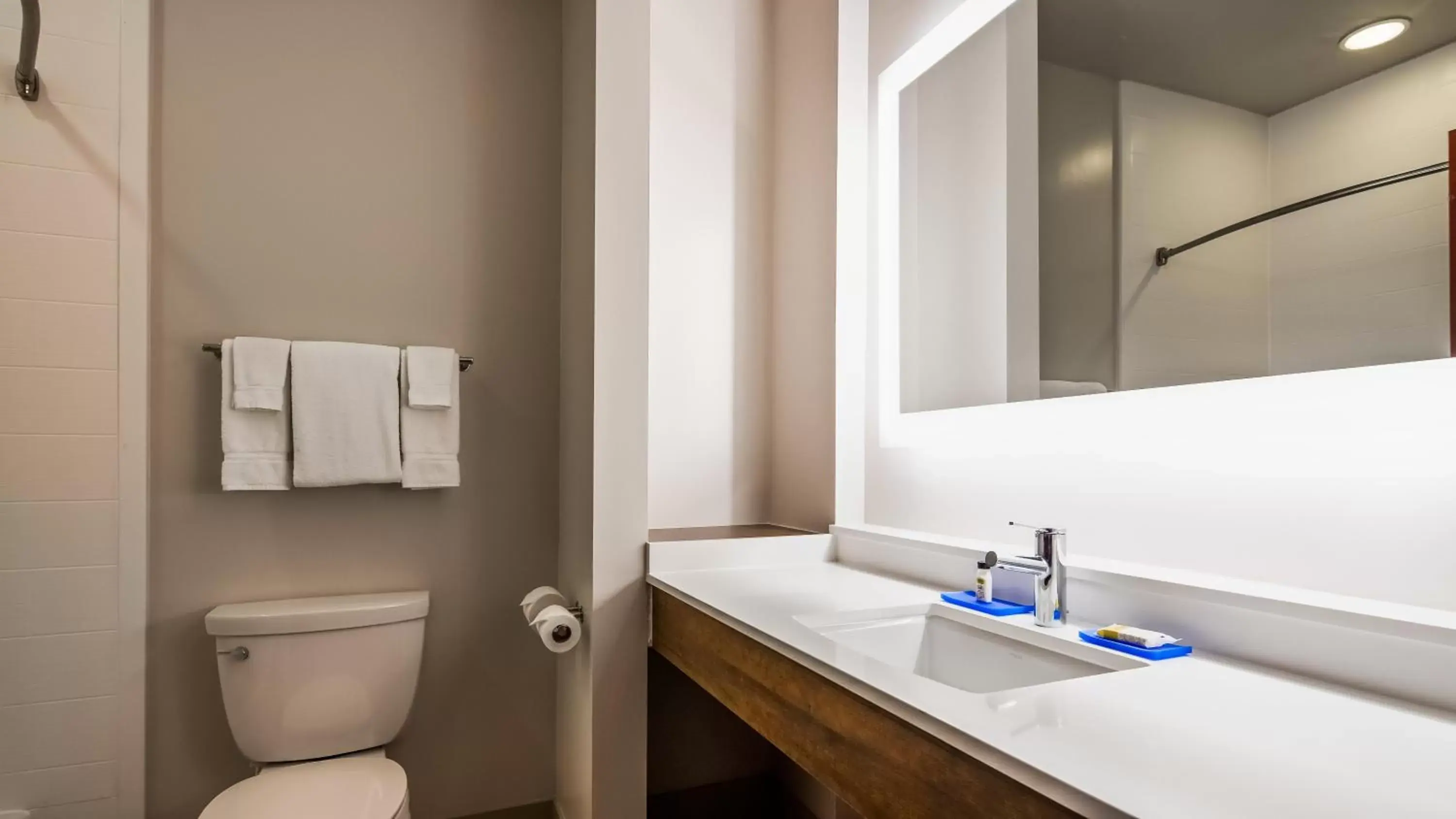 Bathroom in Holiday Inn Express Hotel & Suites Detroit - Farmington Hills, an IHG Hotel