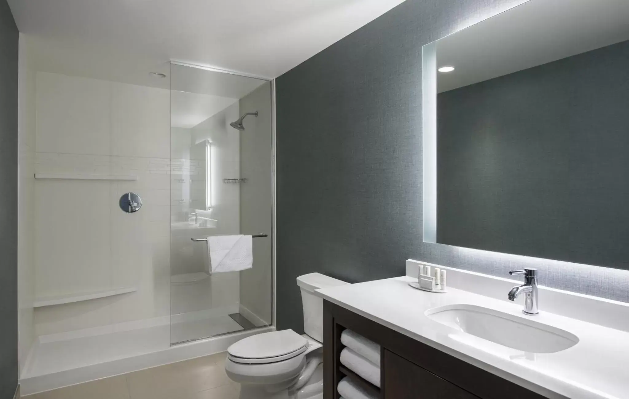 Bathroom in Residence Inn by Marriott Calgary South