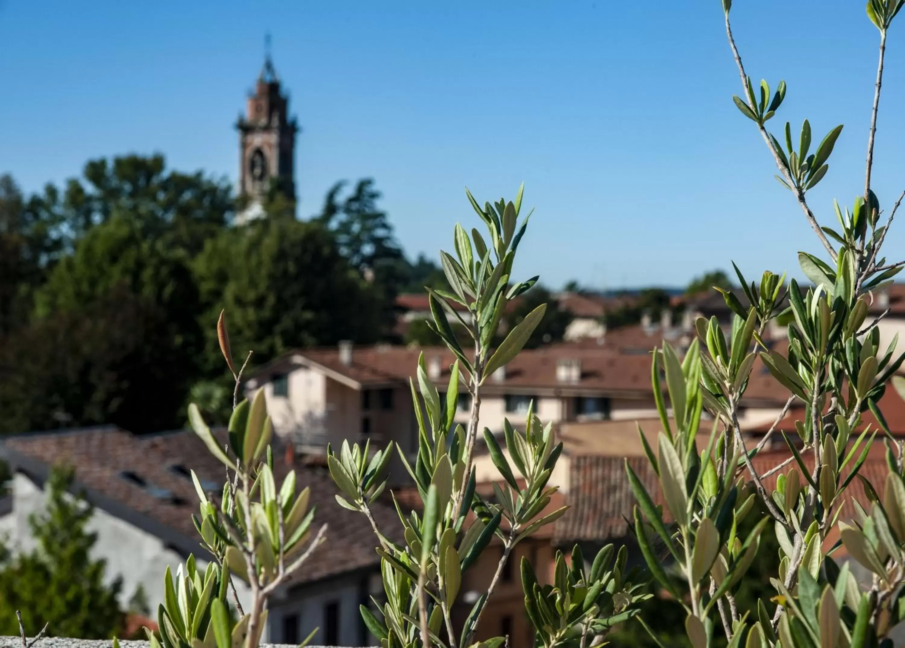 Hotel Locanda Dei Mai Intees