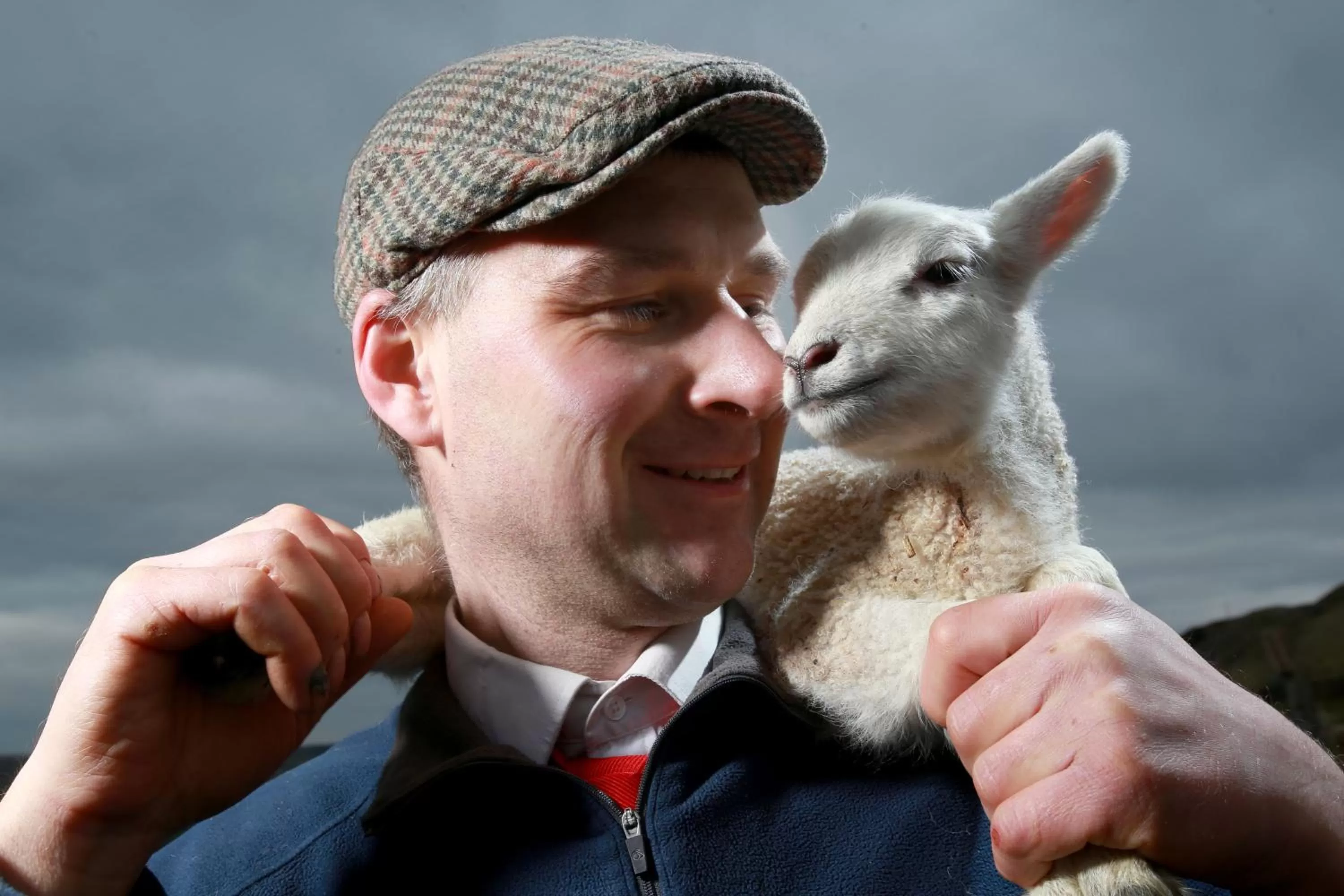 Spring, Other Animals in Coddy's Farm