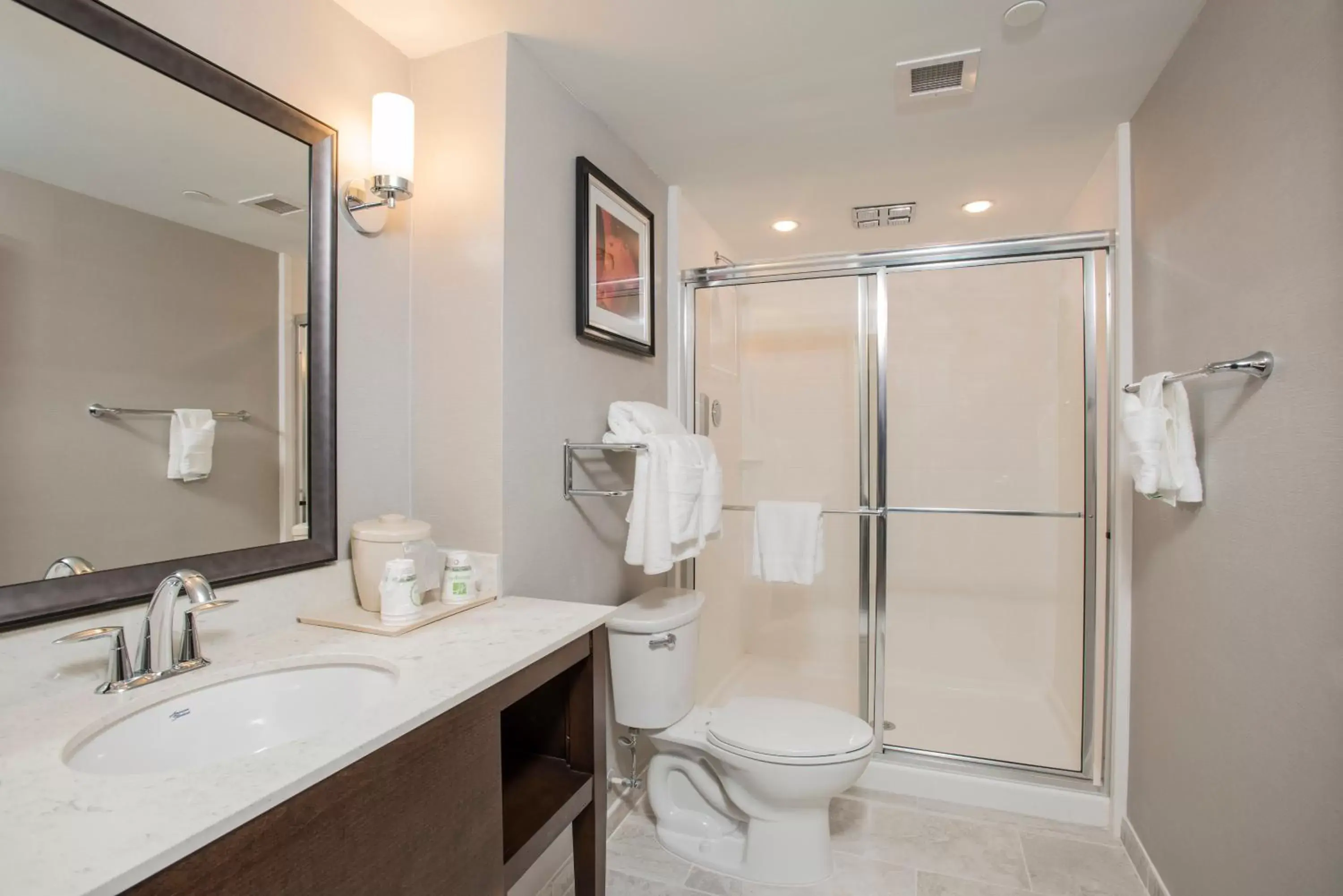 Bathroom in Holiday Inn Hotel & Suites Cincinnati Downtown, an IHG Hotel