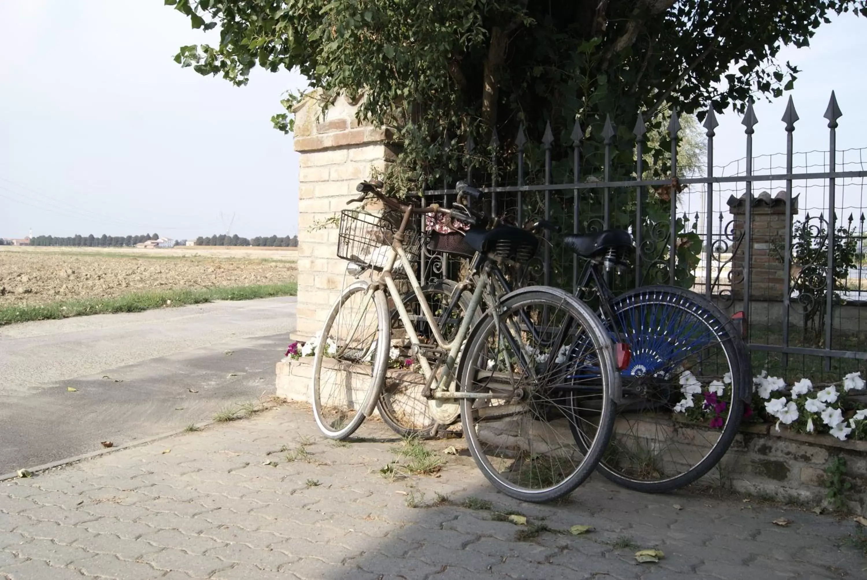 Cycling, Biking in Antico Pioppo