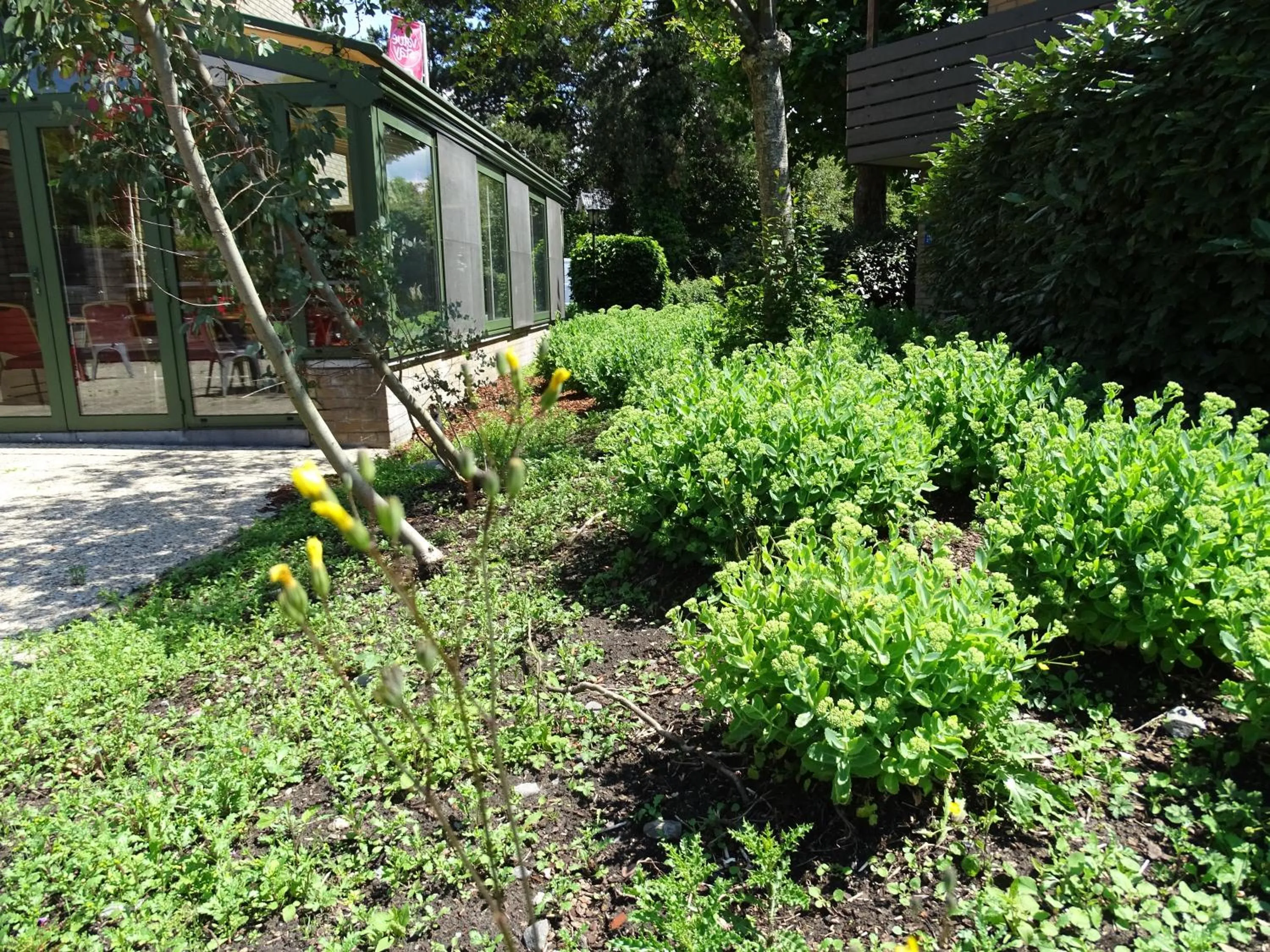 Garden in Value Stay Bruges