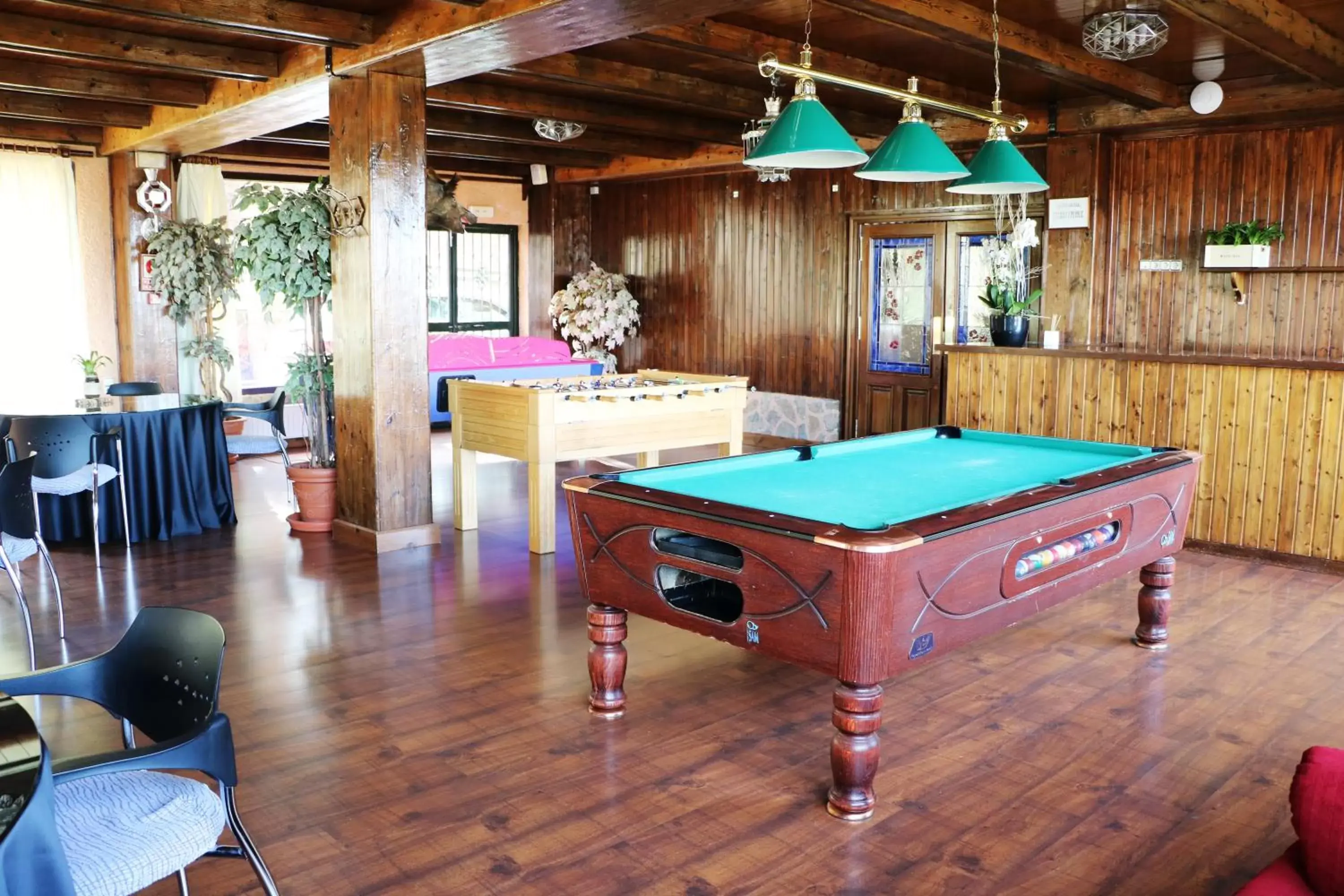 Communal lounge/ TV room, Billiards in Hotel El Guerra