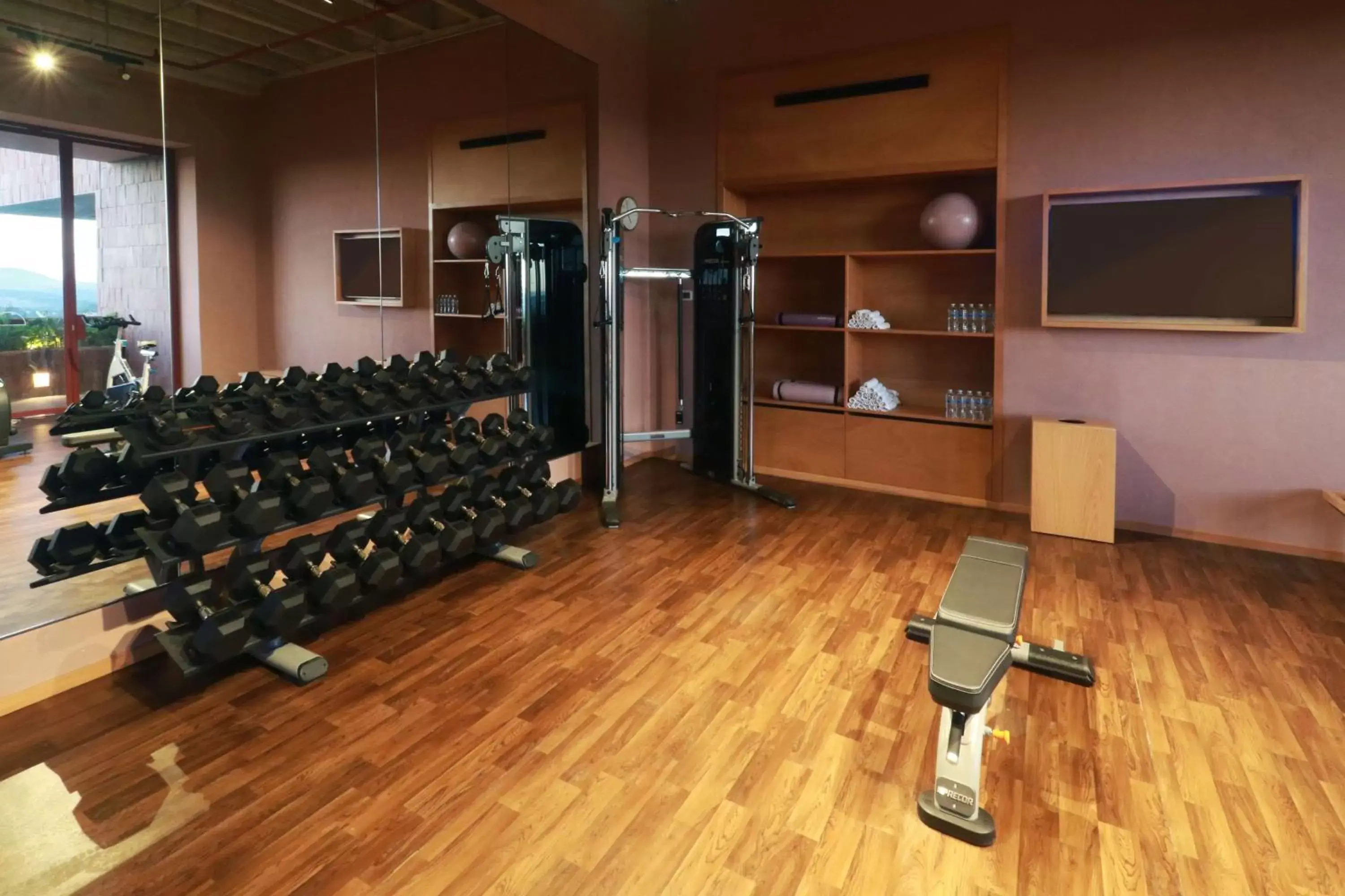 Fitness centre/facilities, Fitness Center/Facilities in Albor San Miguel de Allende, Tapestry Collection by Hilton