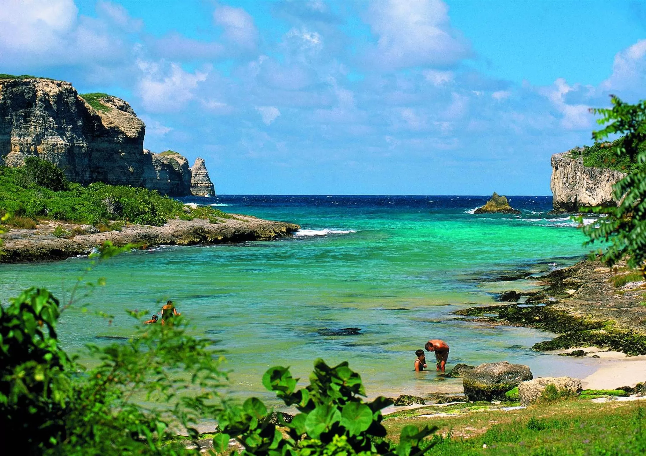 Natural landscape in Résidence Le Vallon Guadeloupe Parc Piscine Appartements & Studios