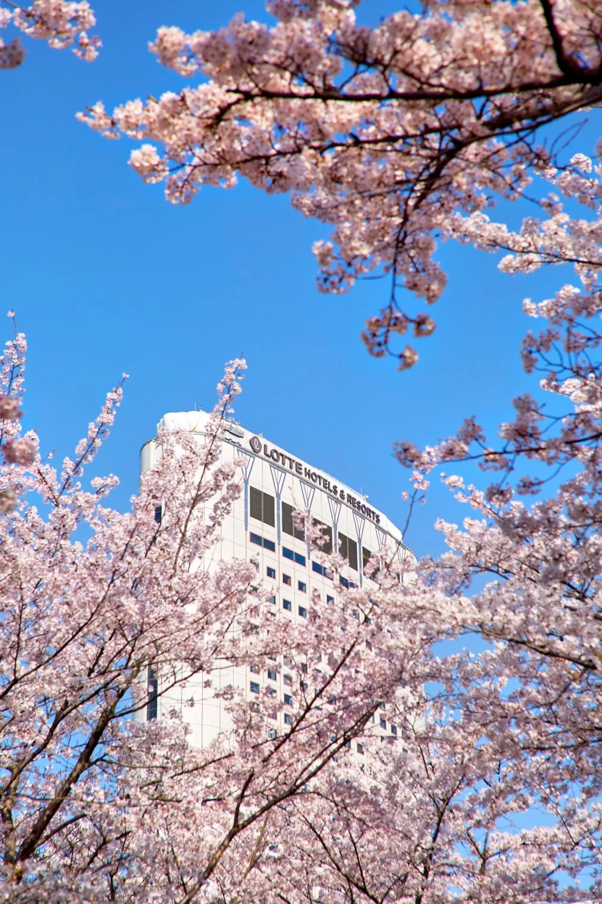 Property Building in Lotte Hotel World