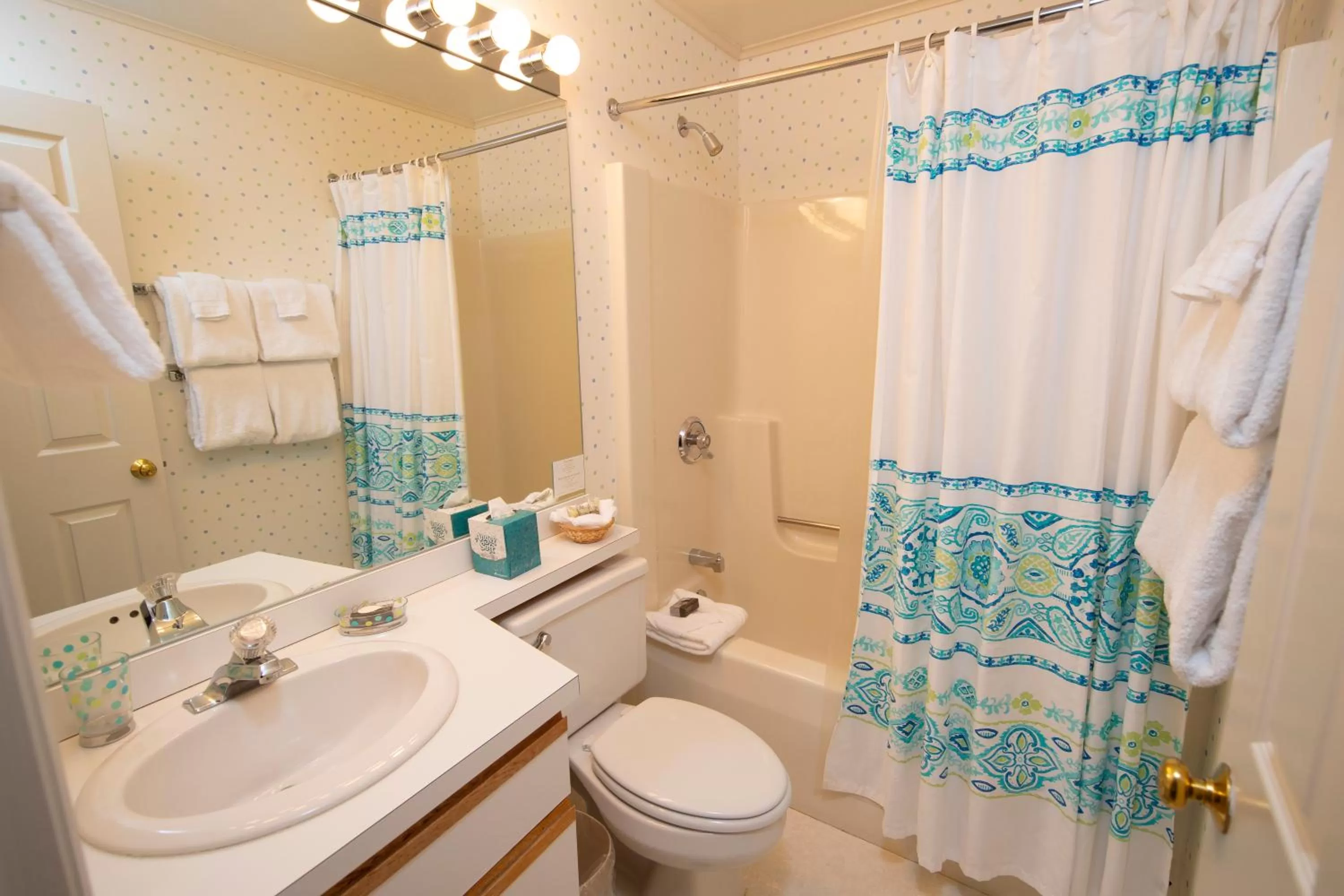 Winterplace on Okemo Mountain