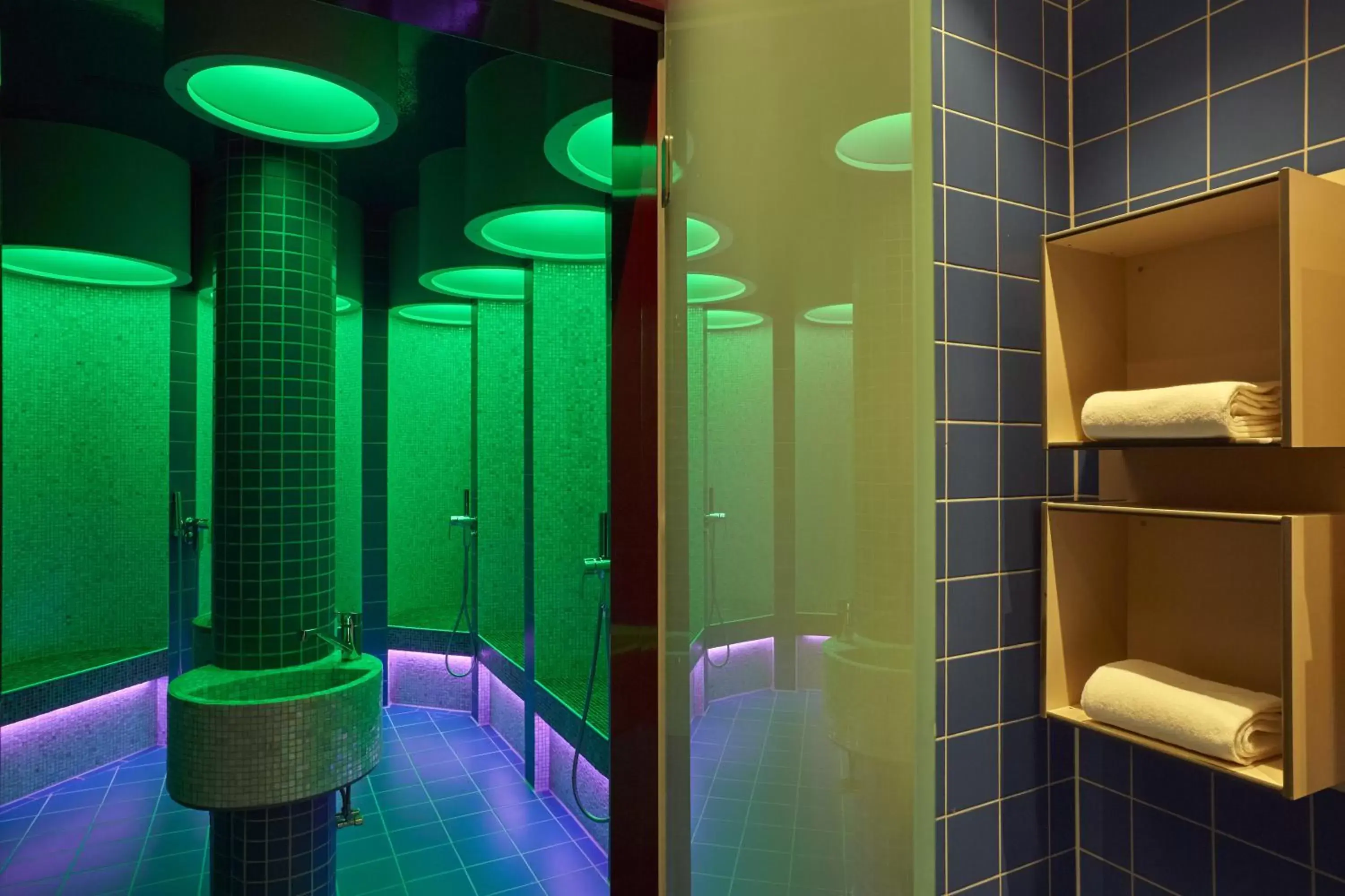 Sauna, Bathroom in H+ Hotel & SPA Friedrichroda