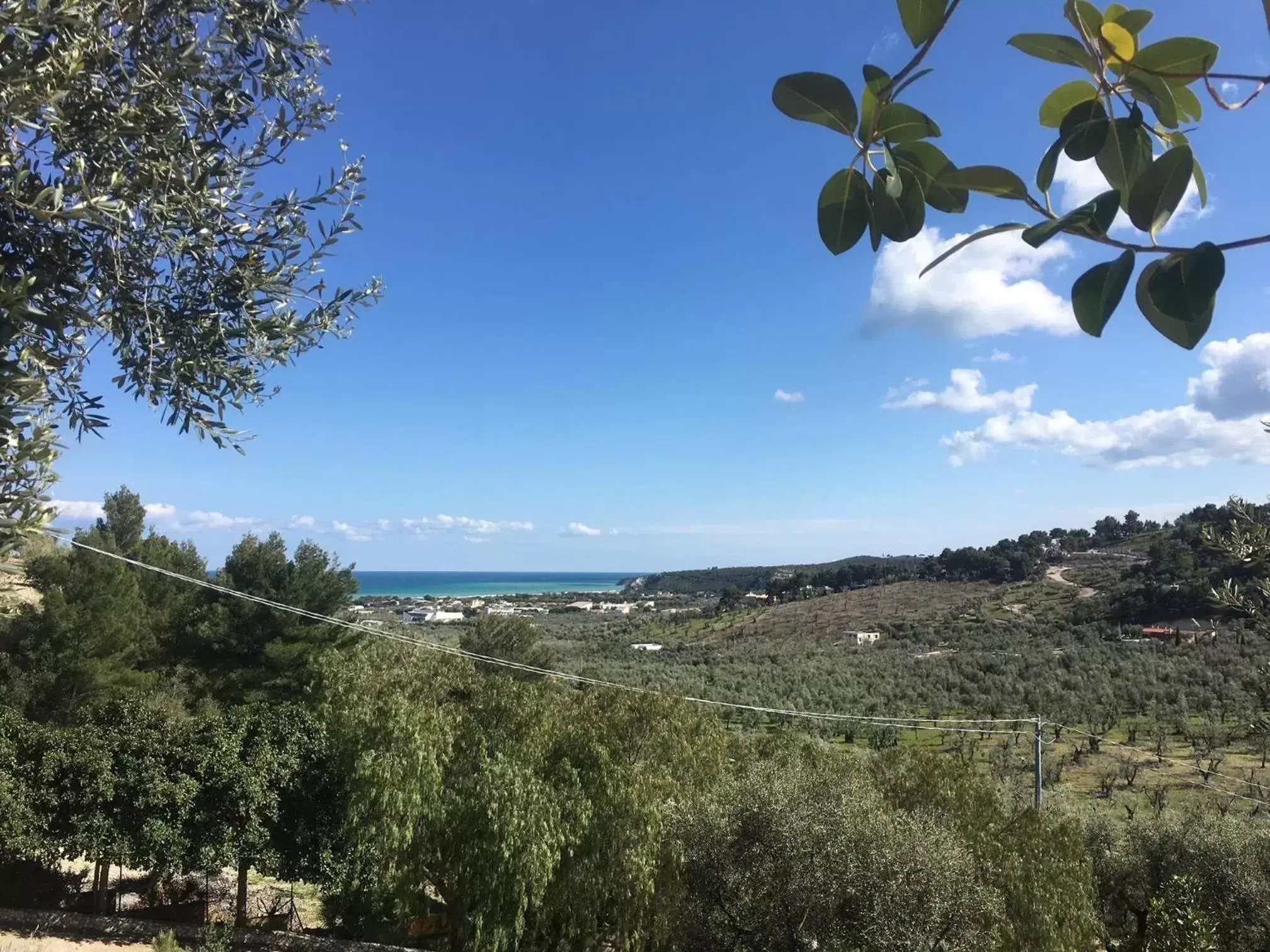 Bird's eye view in La Corte del Sole