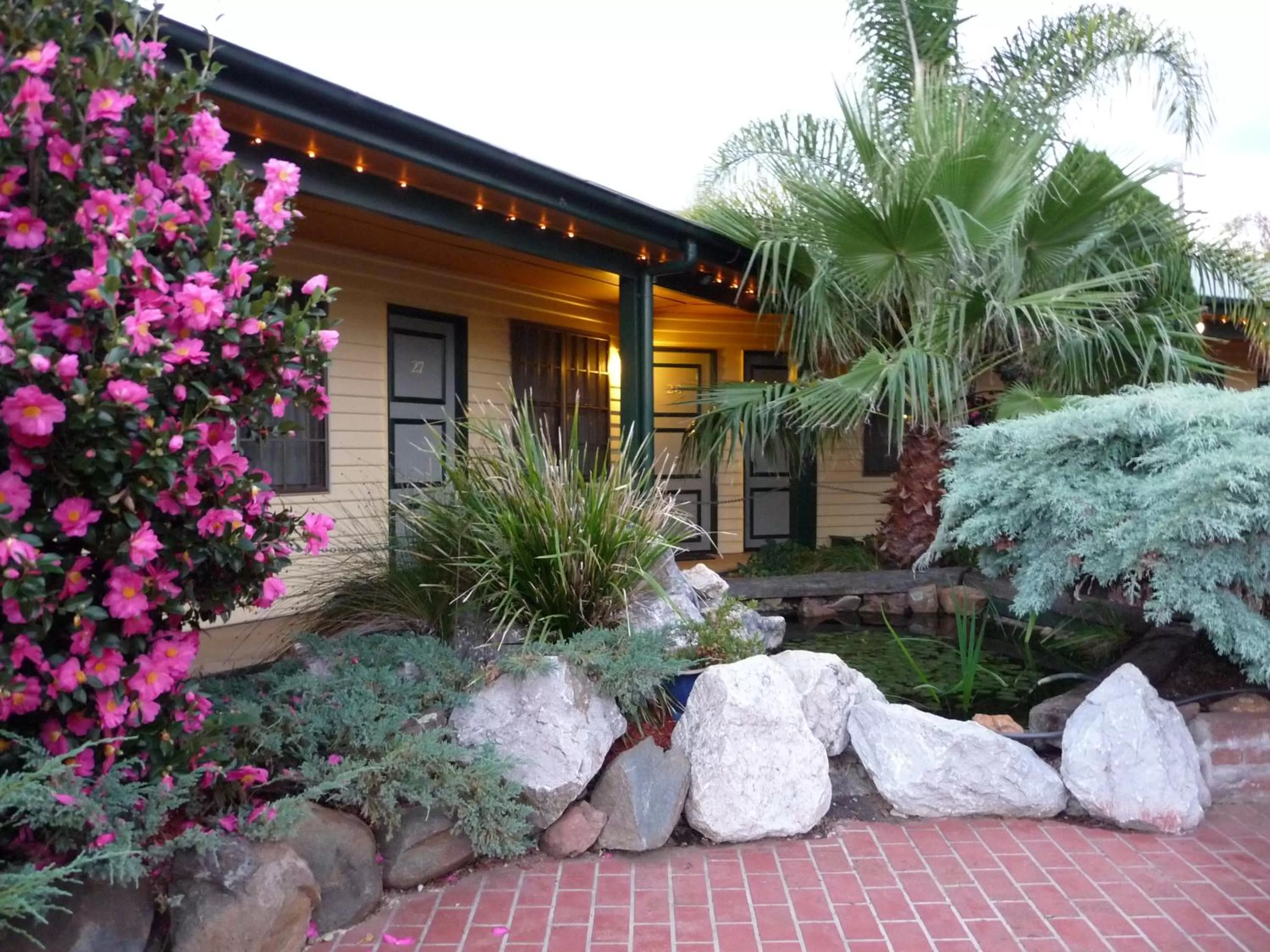 Garden in Ten Dollar Town Motel