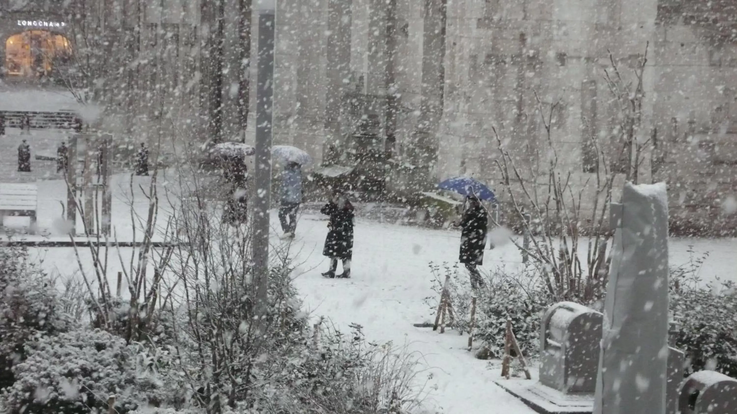 Natural landscape, Winter in Hotel cardinal