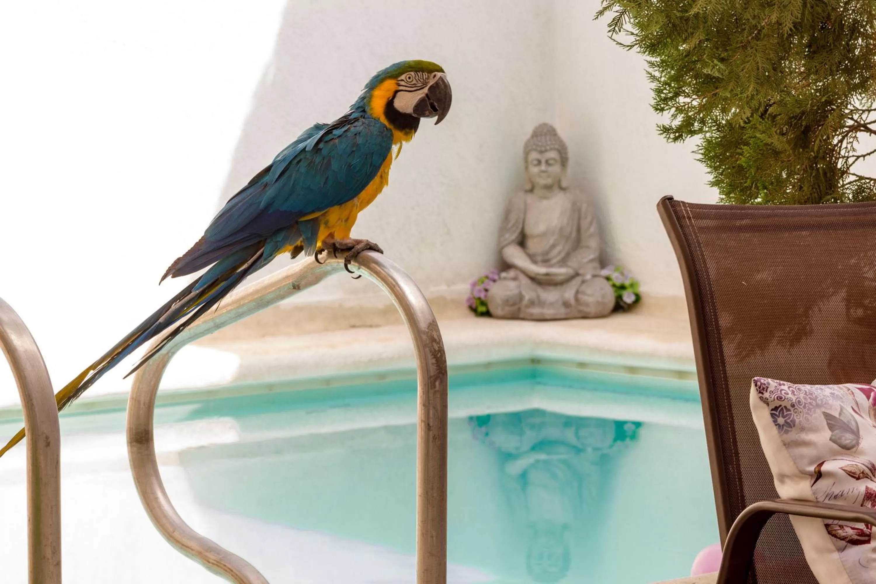 Maria's House - Boutique Hotel