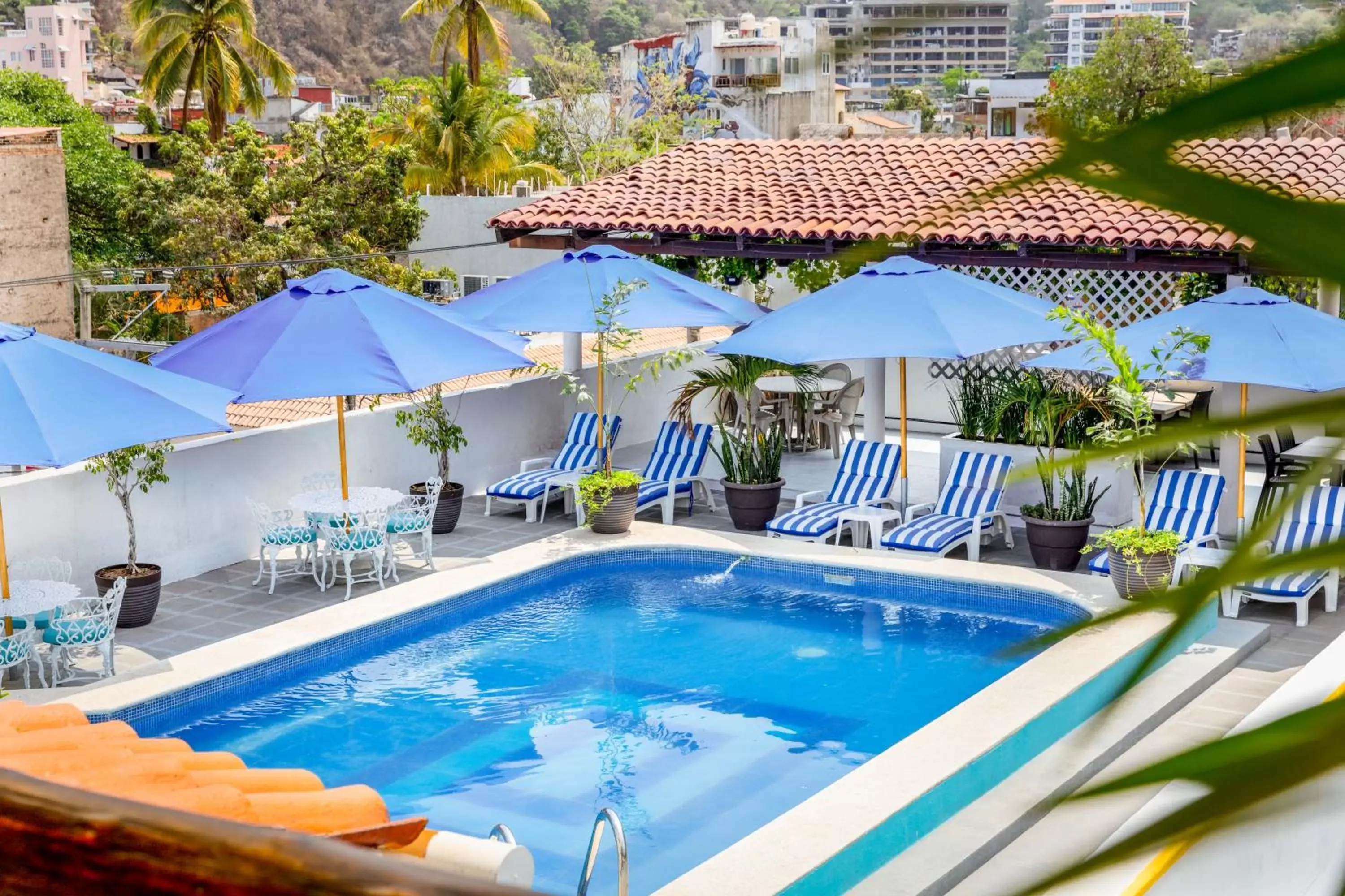 Day, Swimming Pool in Hotel Pueblito Vallarta