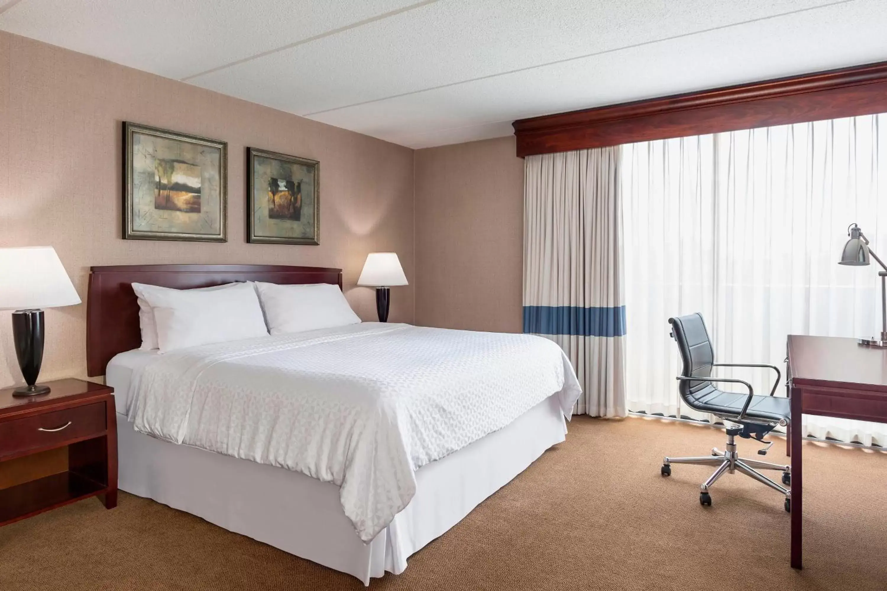 Photo of the whole room, Bed in Four Points by Sheraton Chicago O'Hare