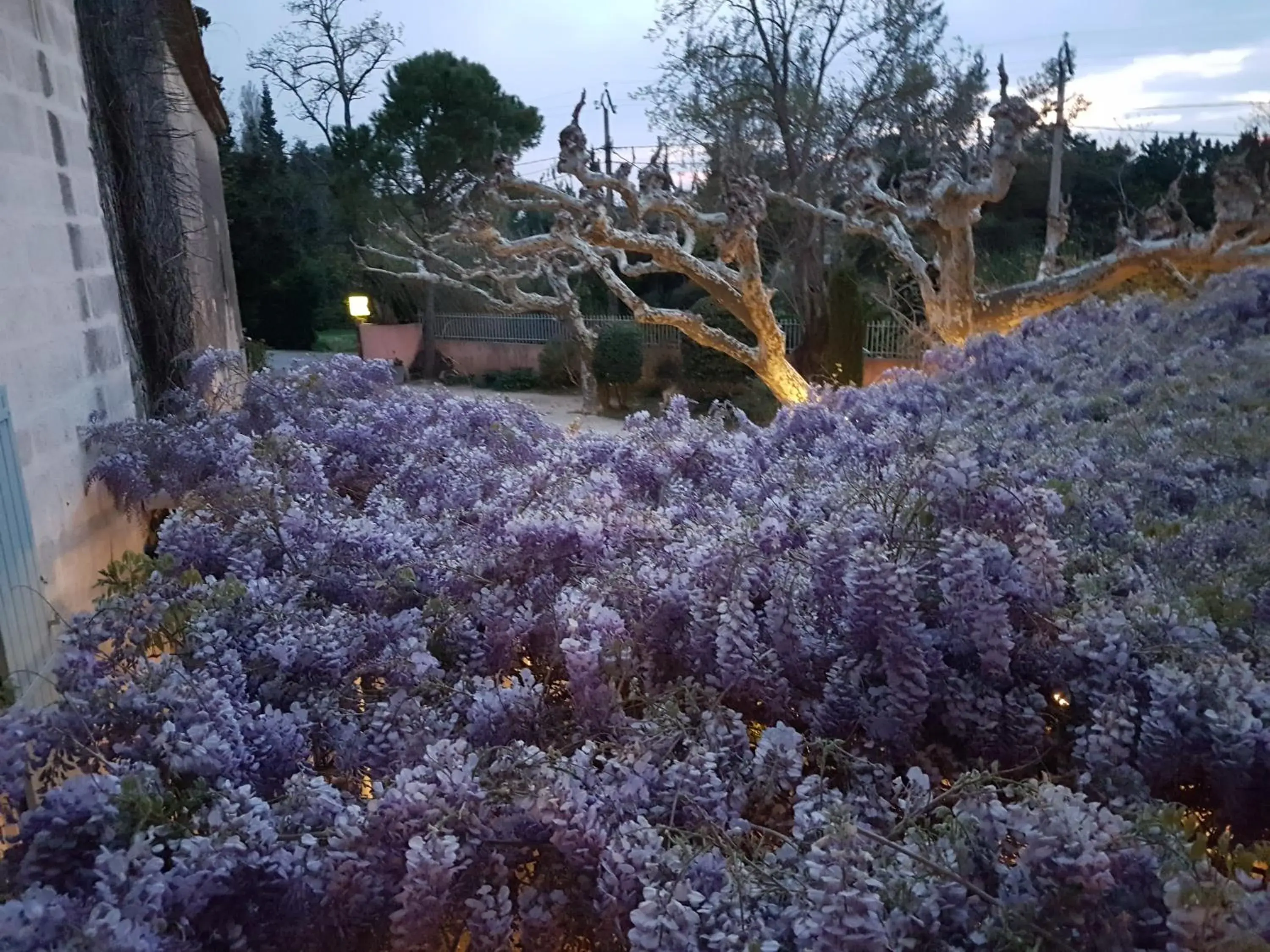 Spring in Hotel Restaurant la Ferme