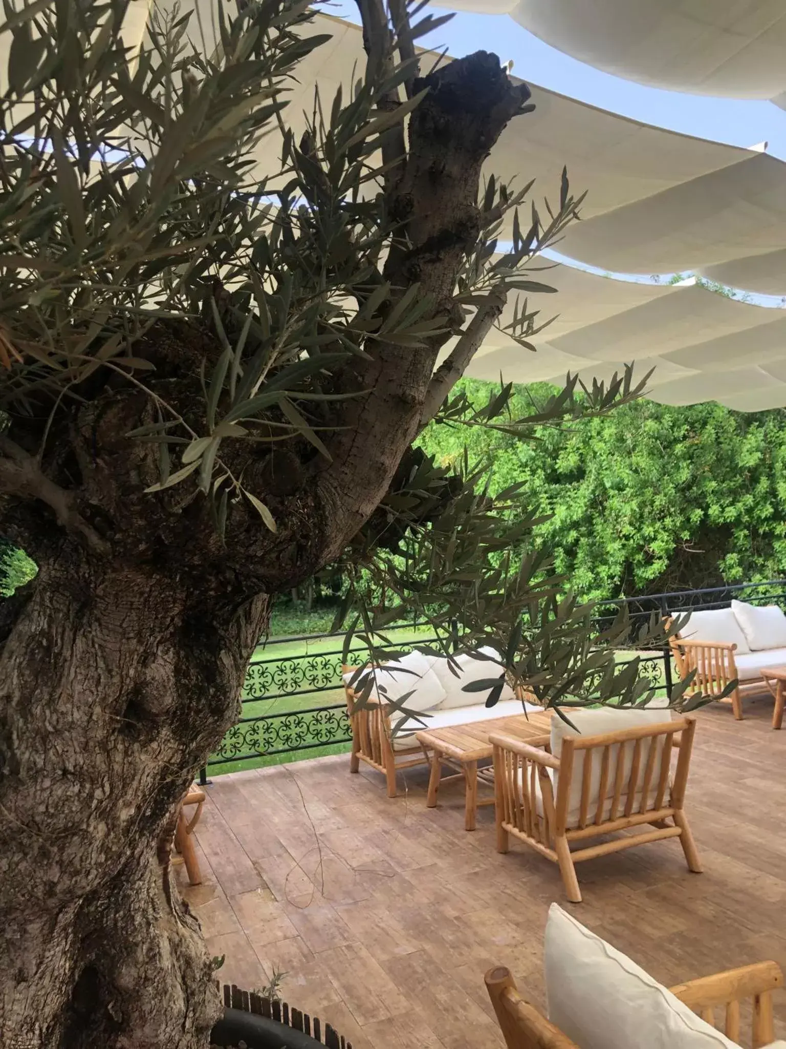 Balcony/Terrace in Hotel Alicante Golf