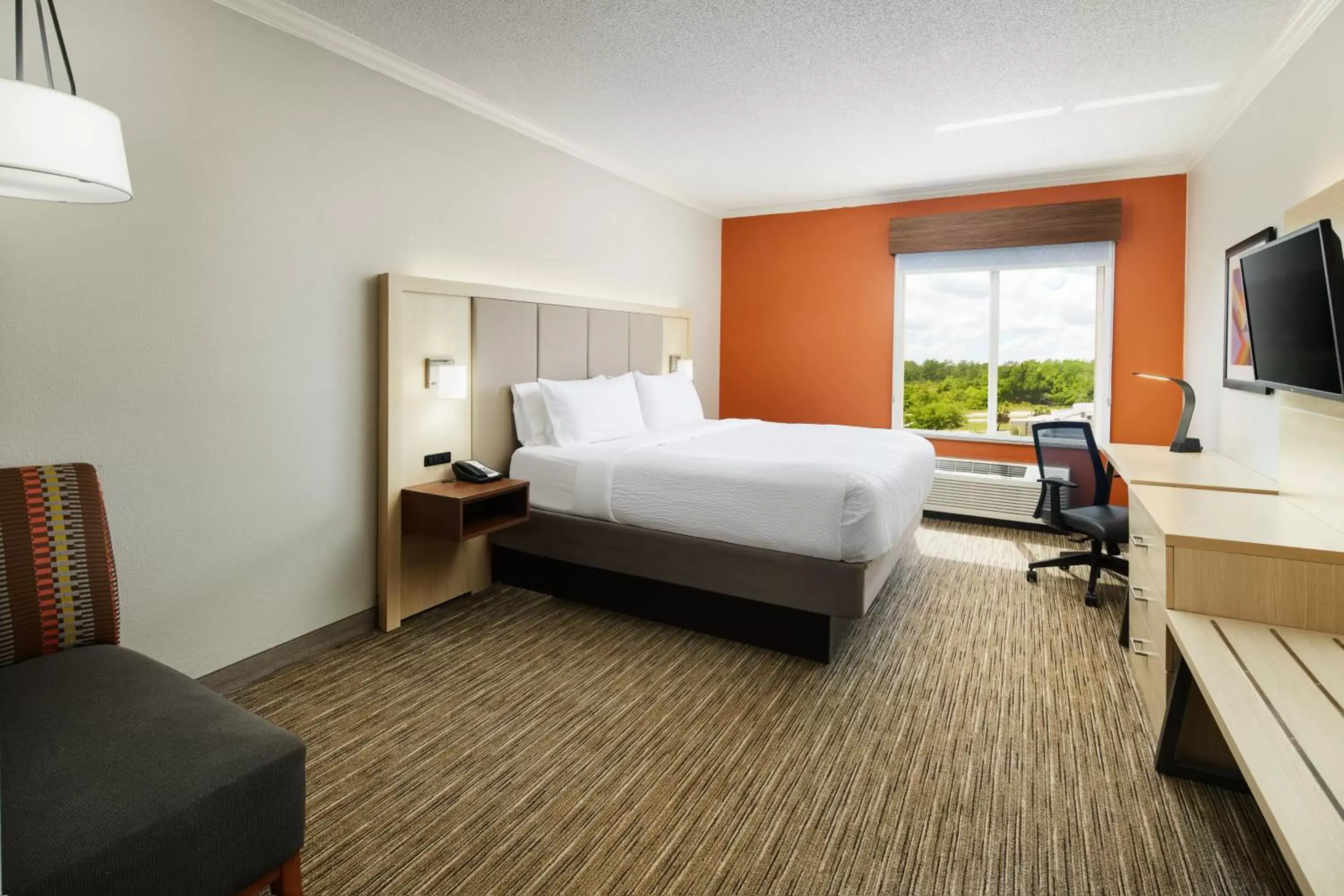 Photo of the whole room in Holiday Inn Express & Suites Bonifay, an IHG Hotel