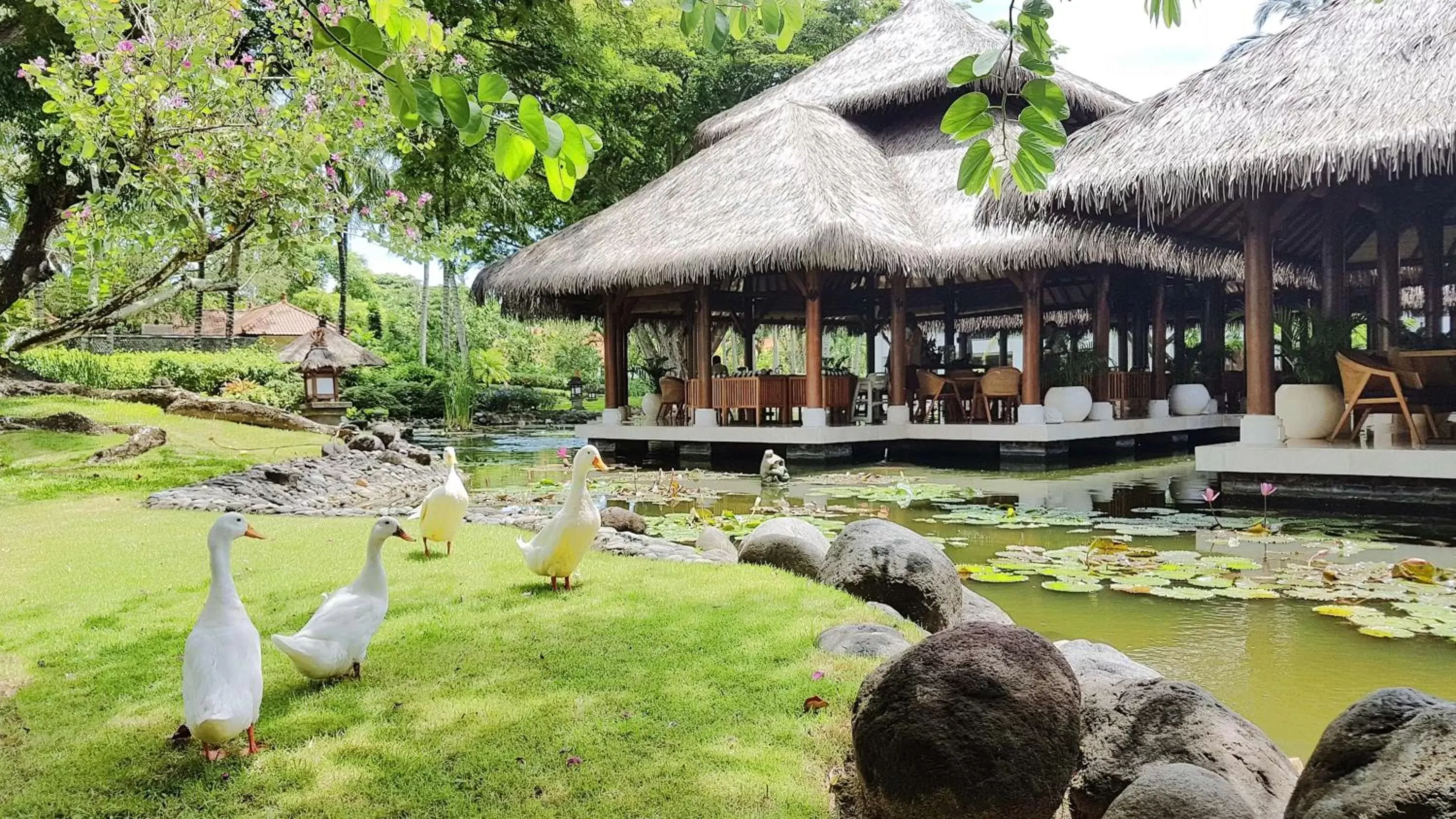 Lounge or bar in Grand Hyatt Bali