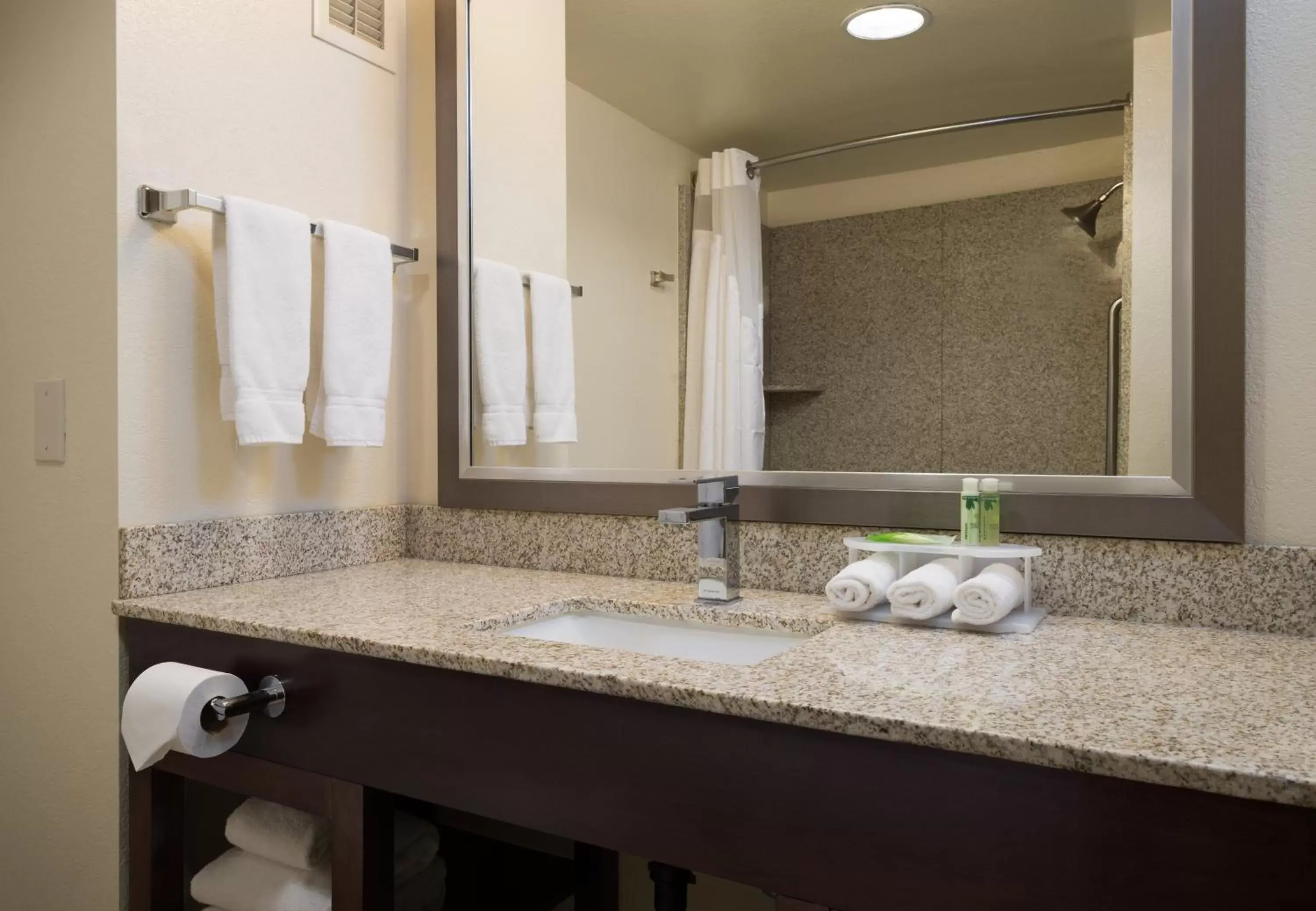 Bathroom in Holiday Inn Express Rocklin - Galleria Area, an IHG Hotel
