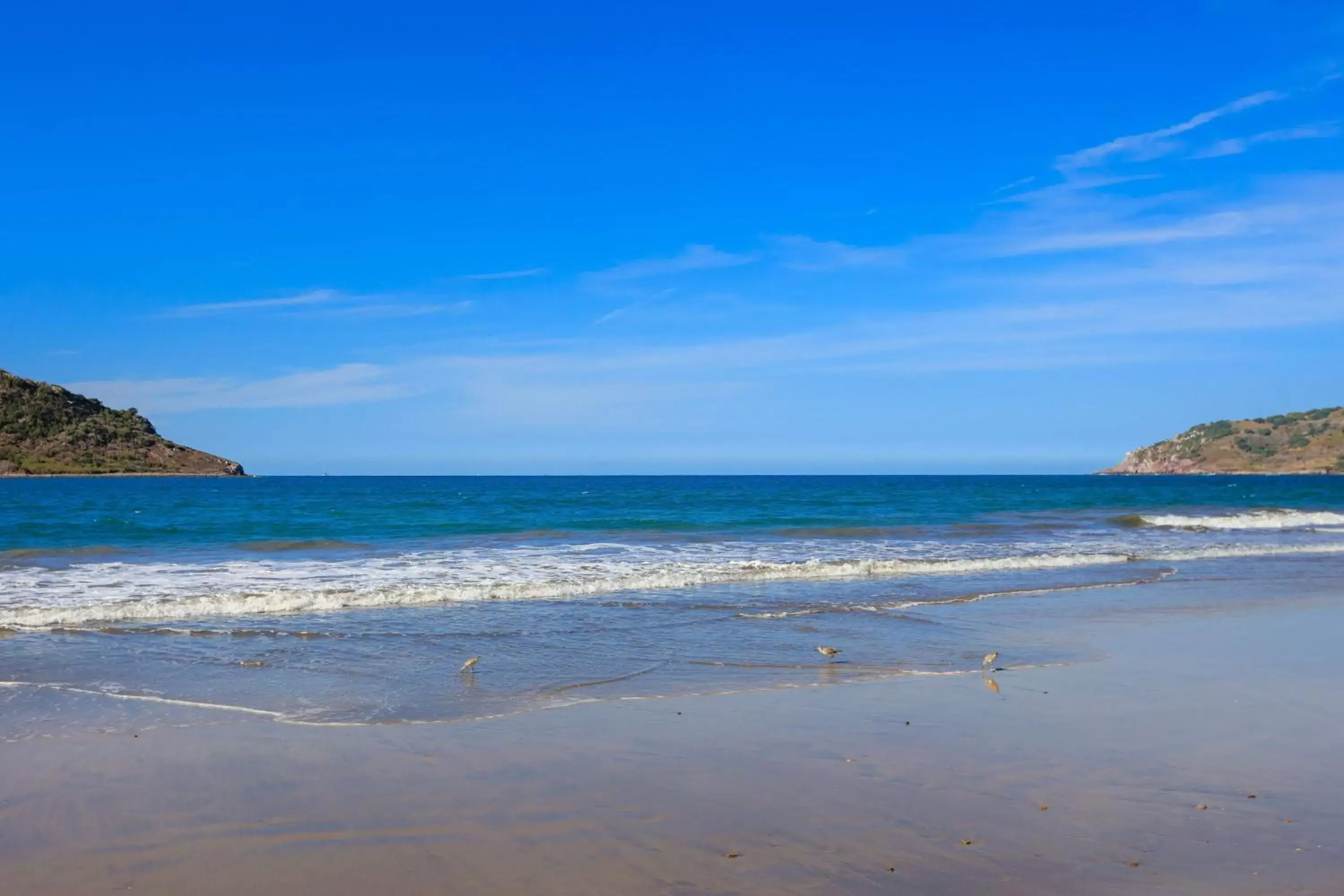 Beach in Courtyard by Marriott Mazatlan Beach Resort