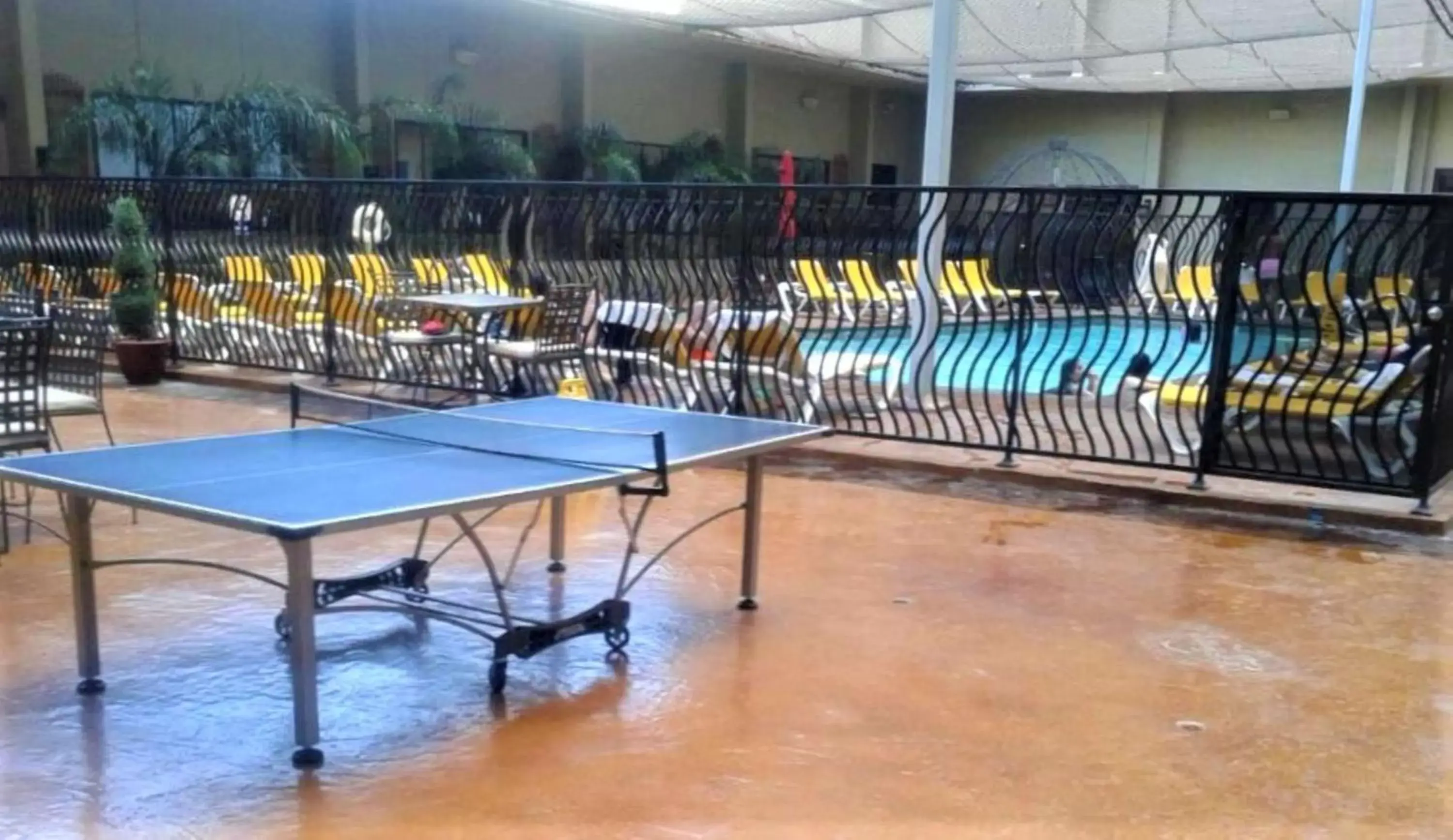 Table Tennis in Jockey Resort Suites Center Strip