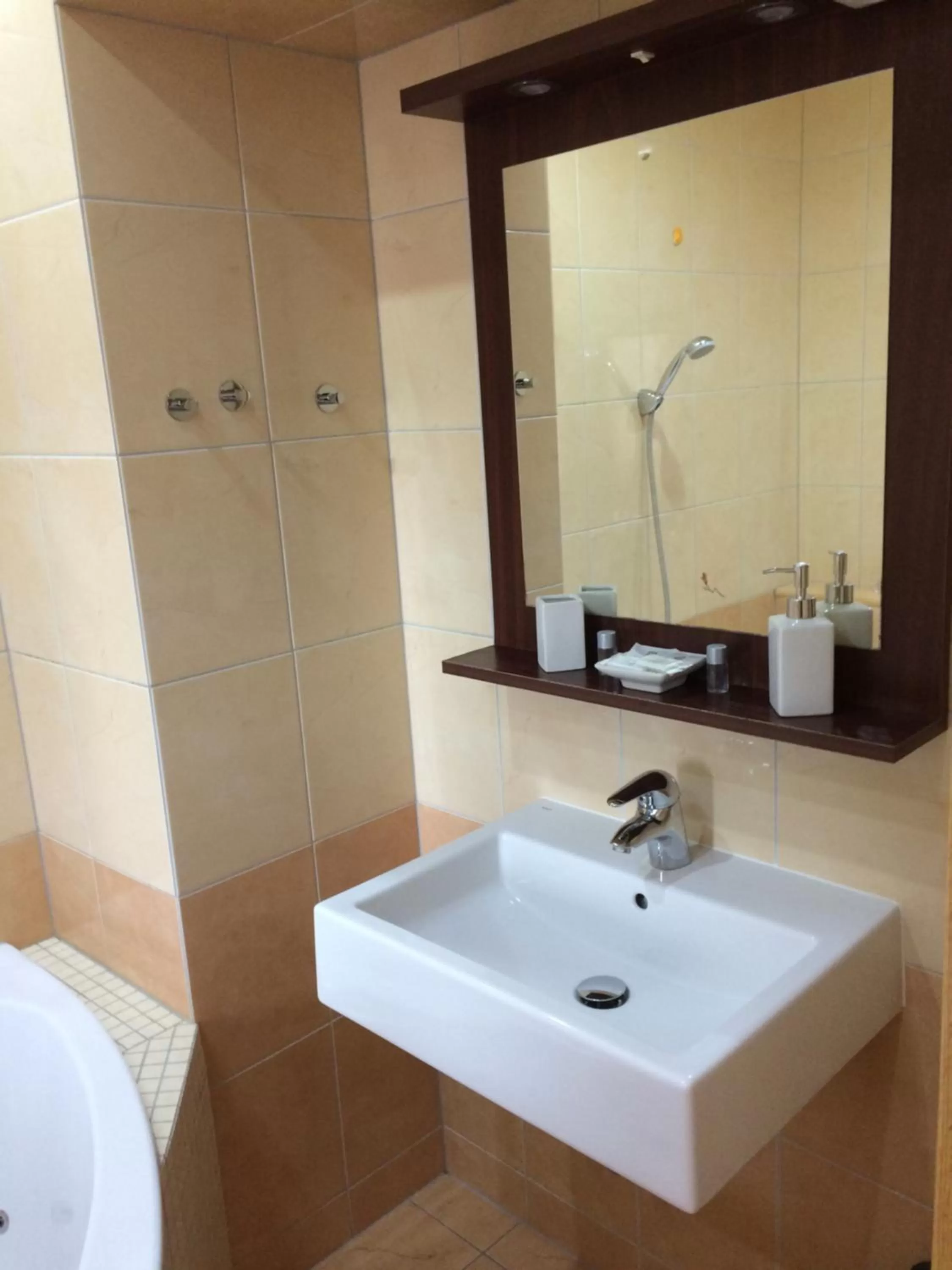 Bathroom in Hotel Panský dům