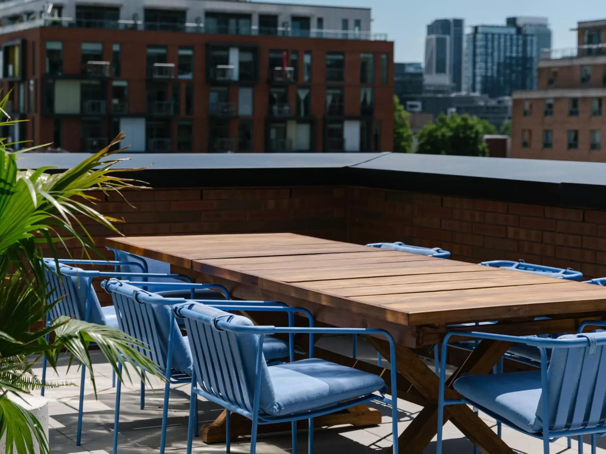 Patio in The Drake Hotel